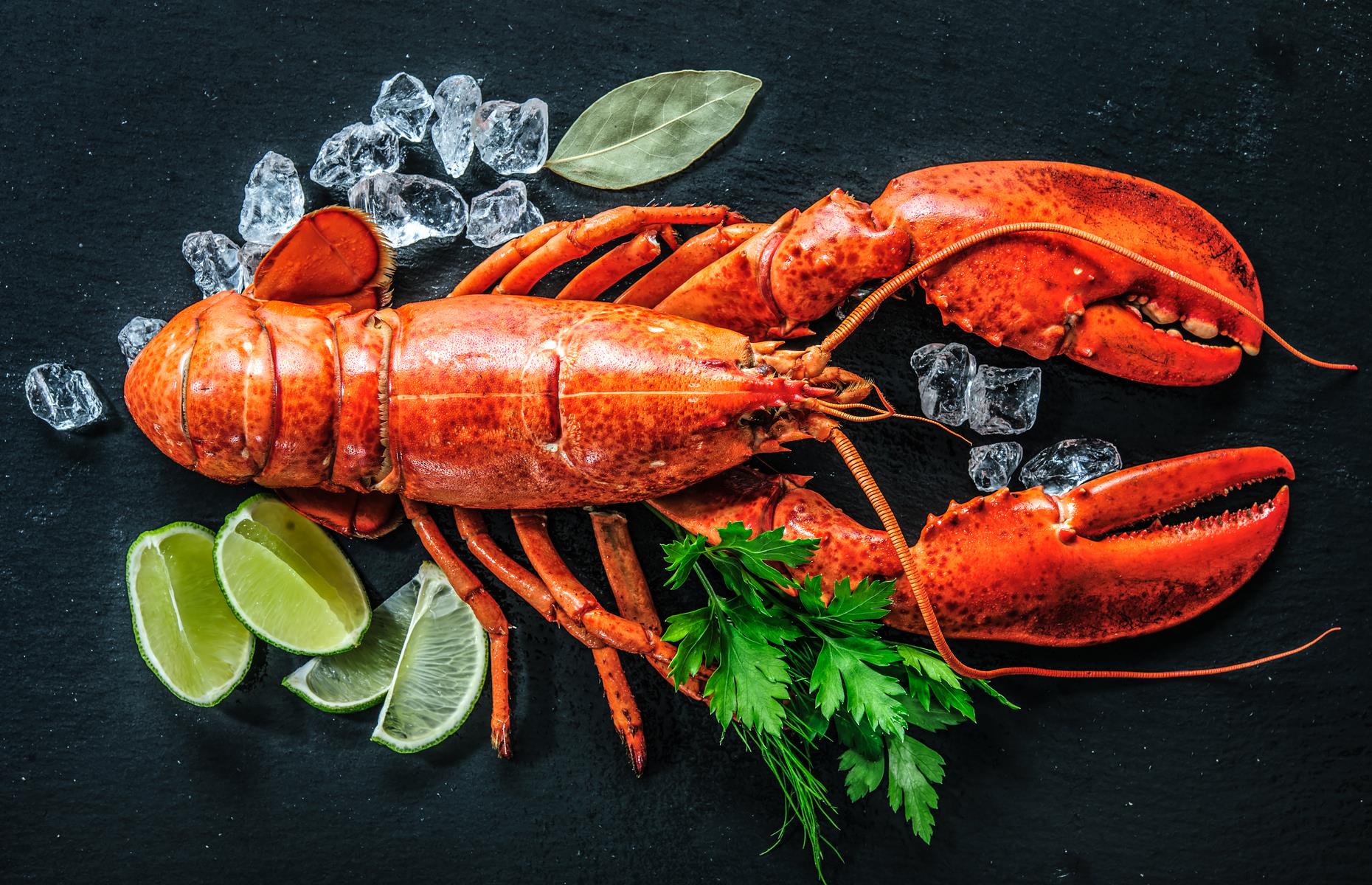 Lobster