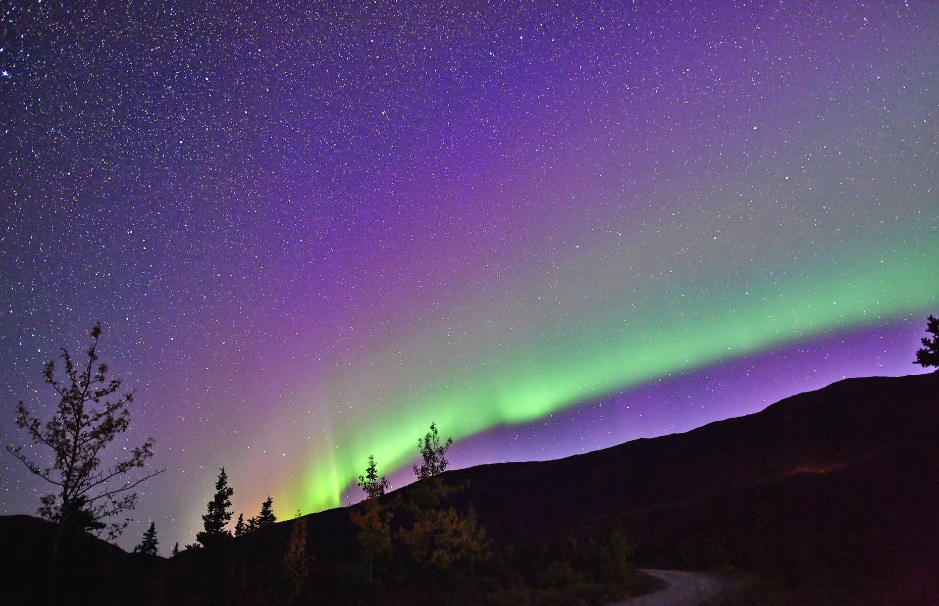 Denali National Park, Alaska