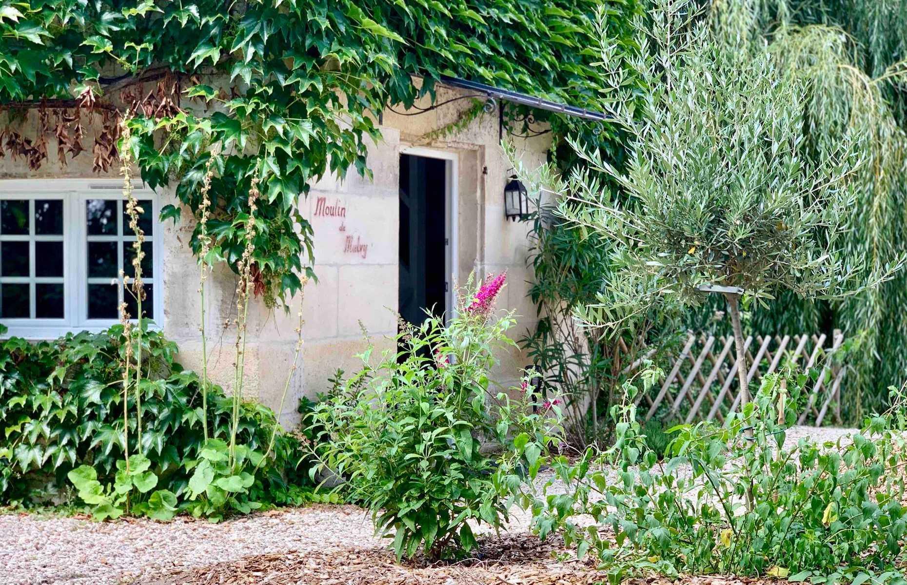 Ile de Malvy, Mosnac, France