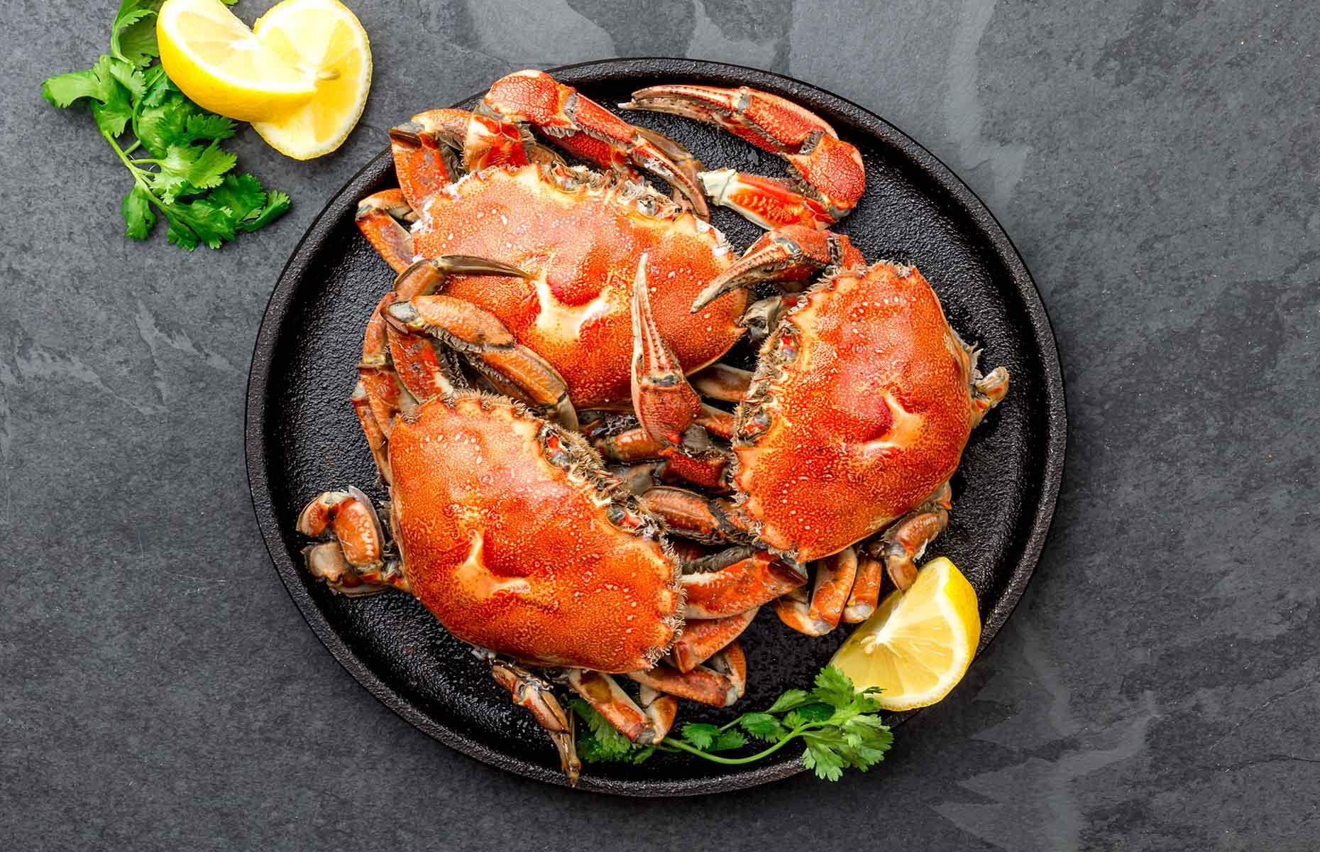 26. Crab