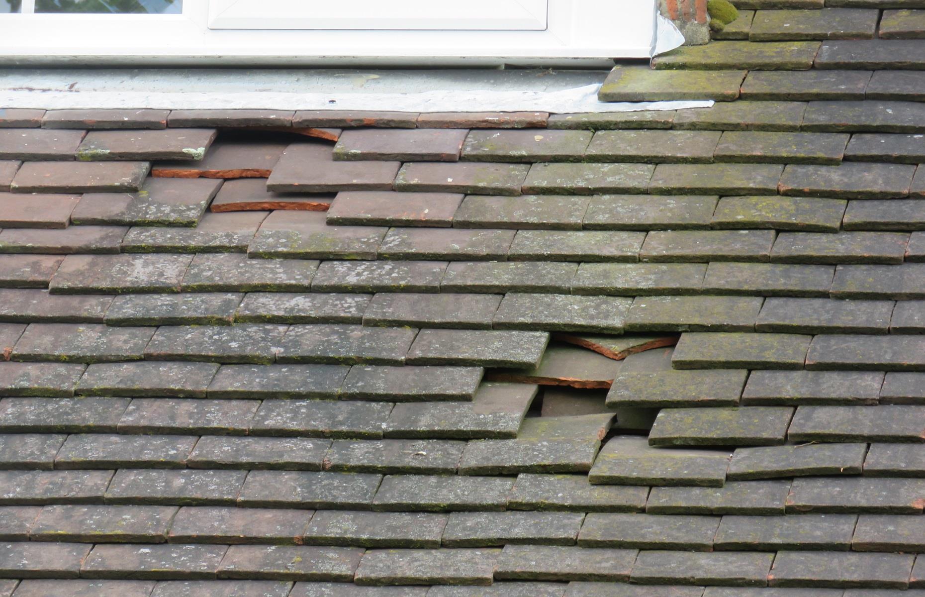 Roof issues