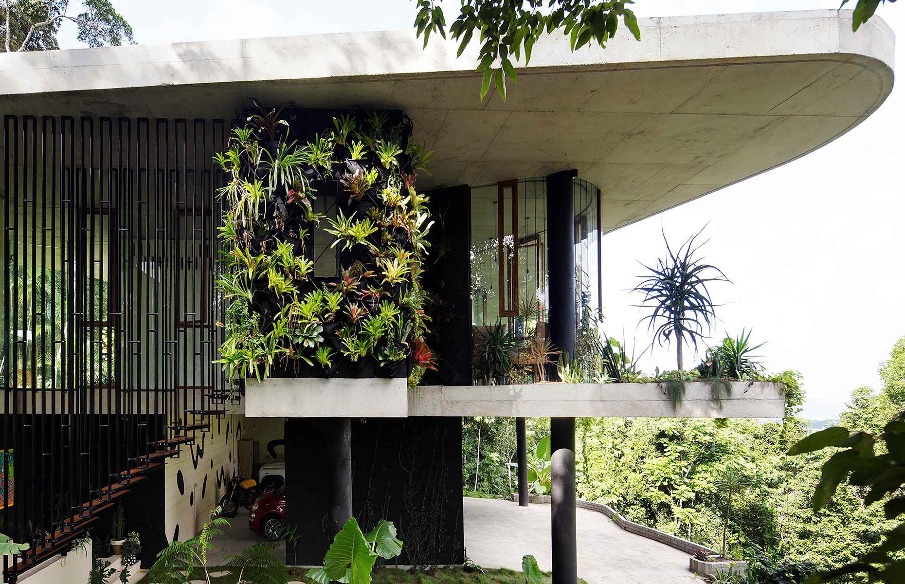 Planchonella House, Cairns, Queensland