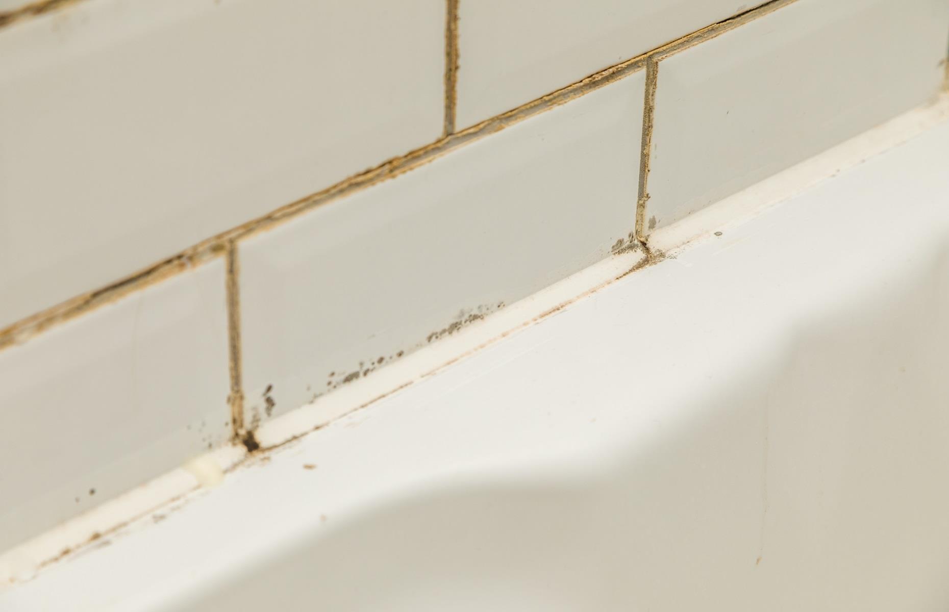 Regrout and seal bathroom tiles
