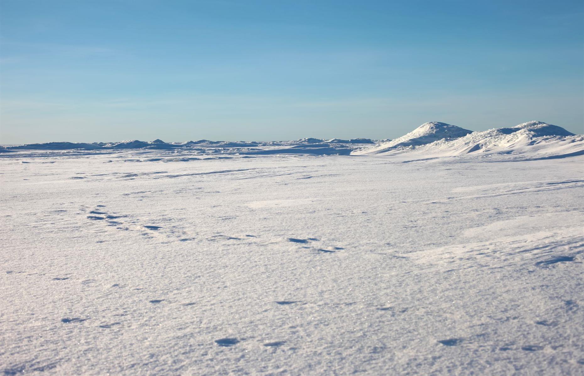 Wait… Antarctica is a desert?