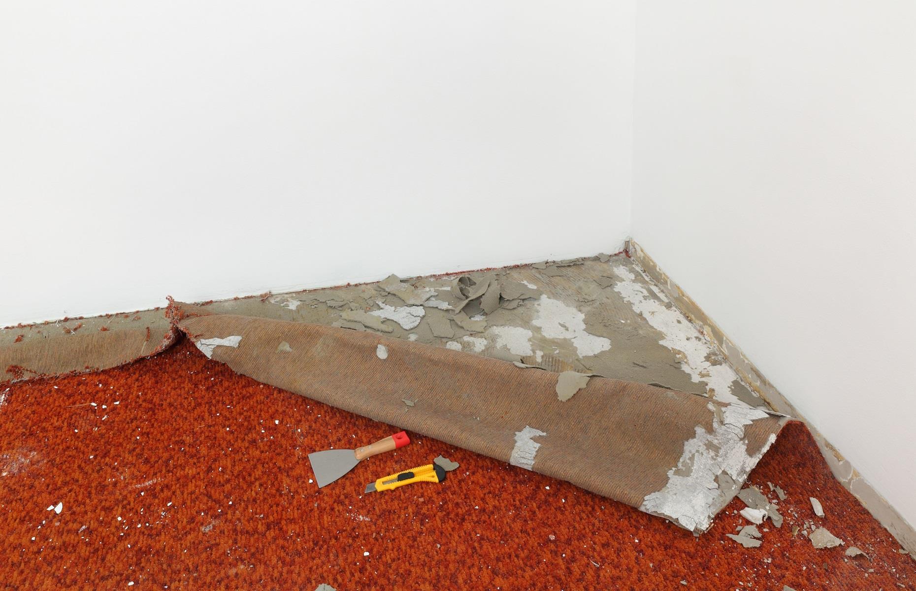 Pull up carpets