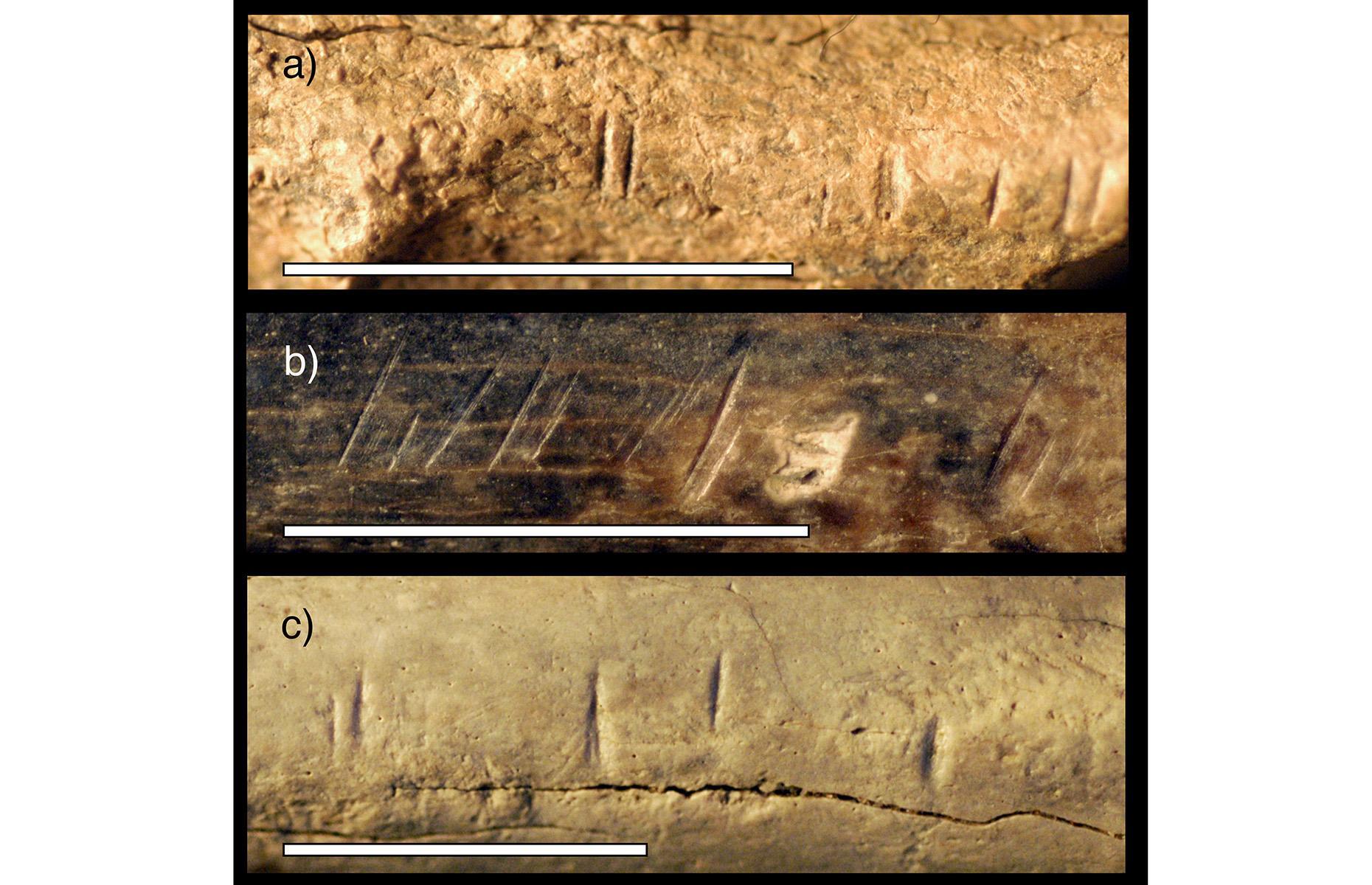 Earliest evidence of cannibalism, Kenya