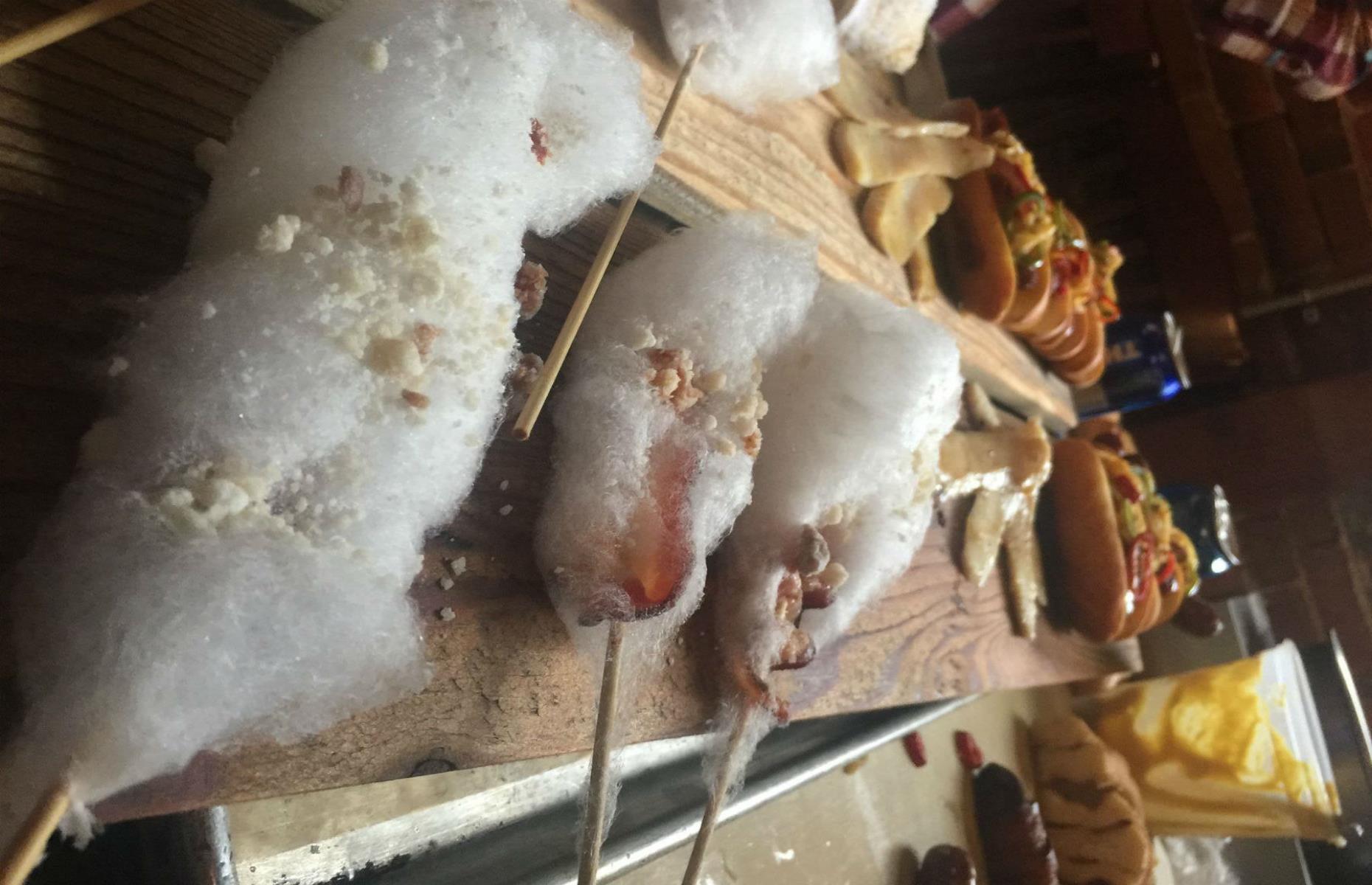 Sacramento Bacon Fest, California