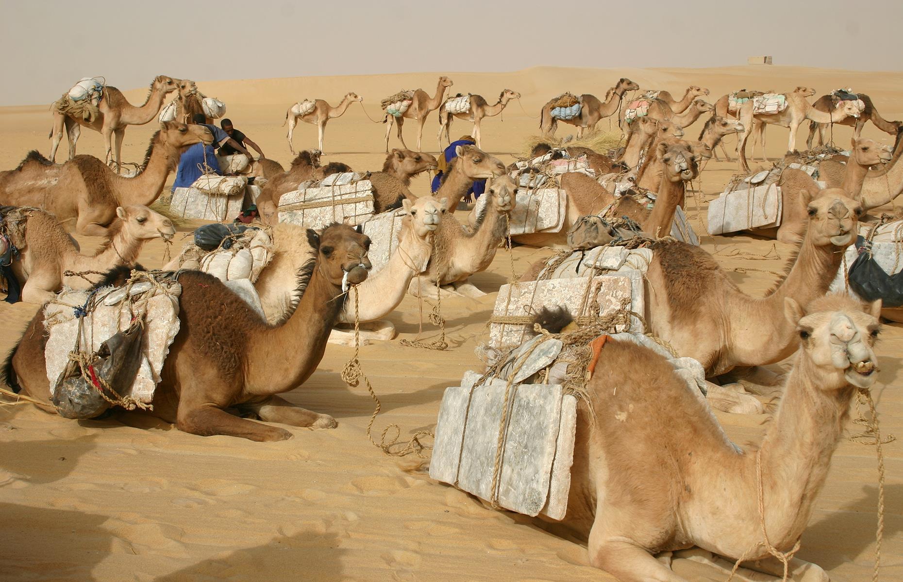 Timbuktu, Mali