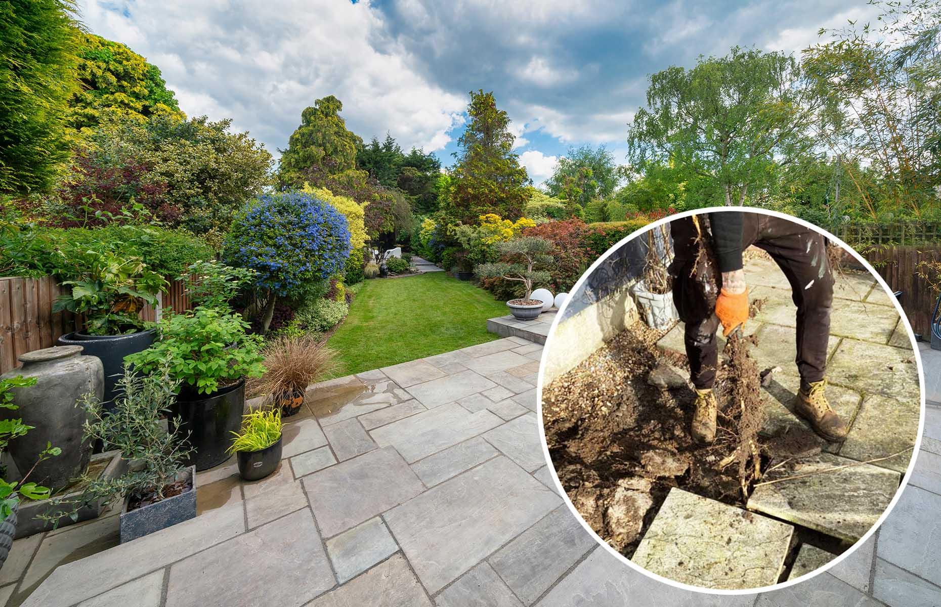 How to spot stubborn species before they cause damage