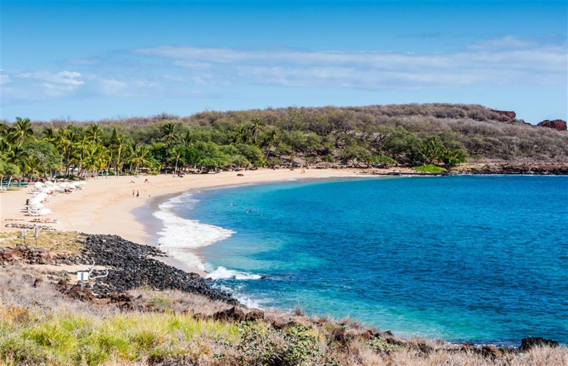 Lanai: Larry Ellison