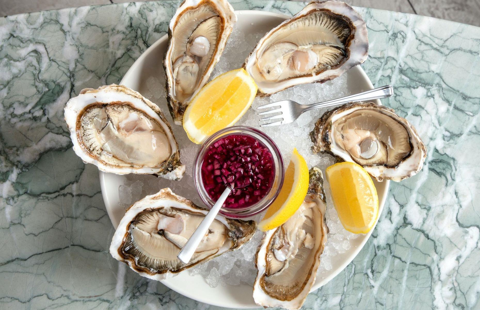 Newcastle: Saltwater Fish Company