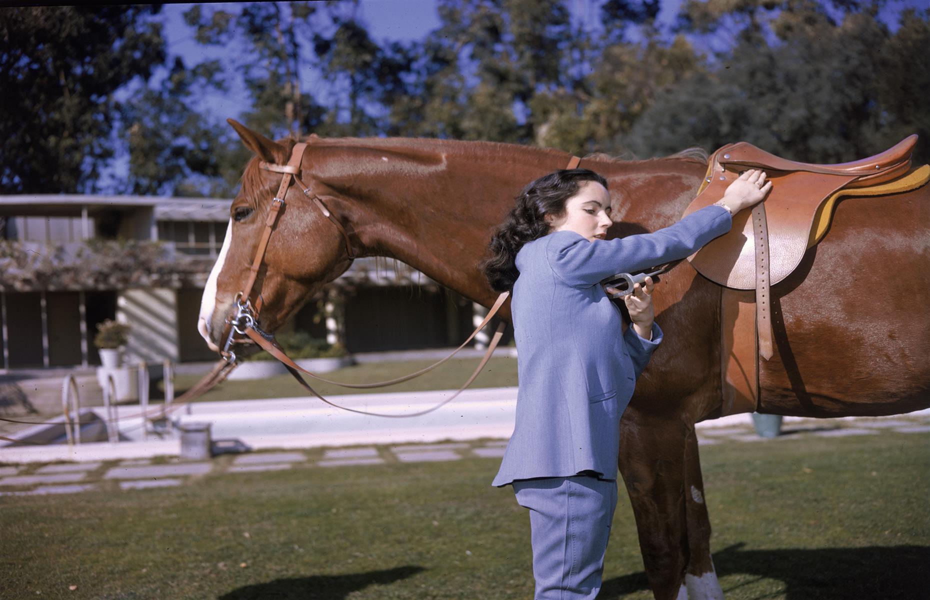 1947: Dame Elizabeth Taylor and her horse King Charles