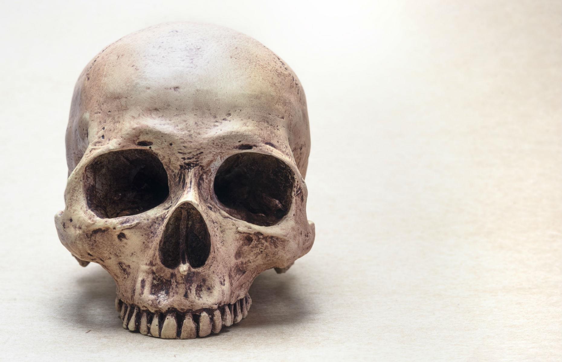 A human skull