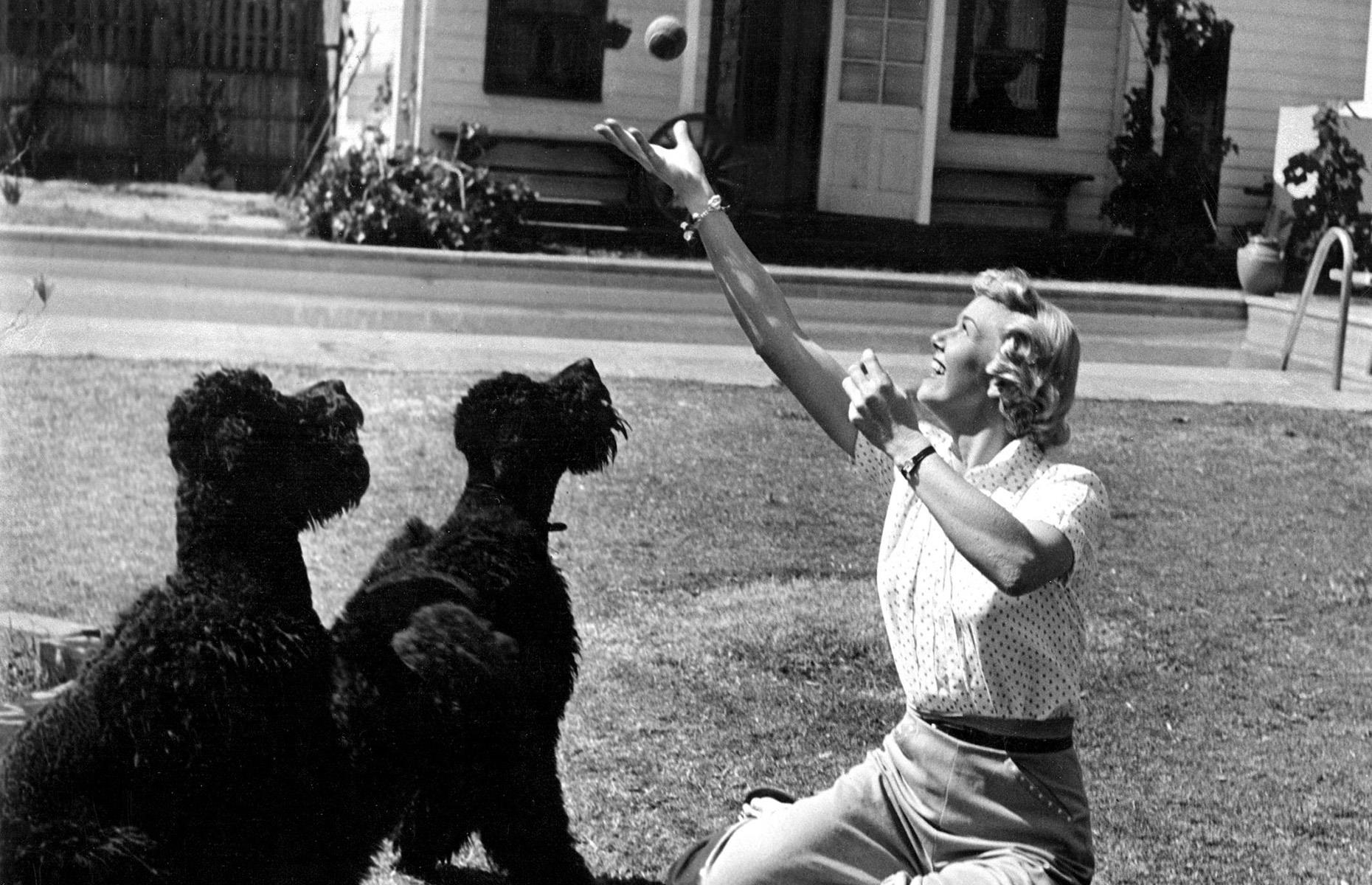 Doris Day puts down roots