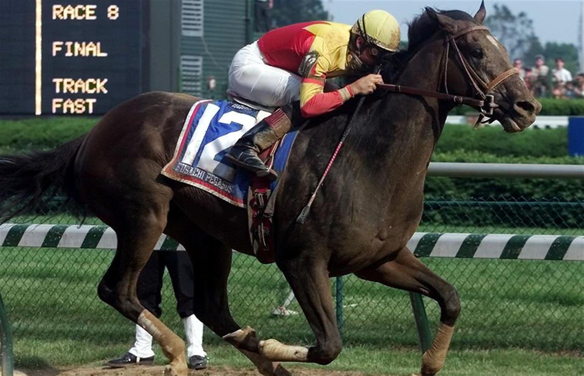Fusaichi Pegasus le cheval de course, 105 millions d'euros