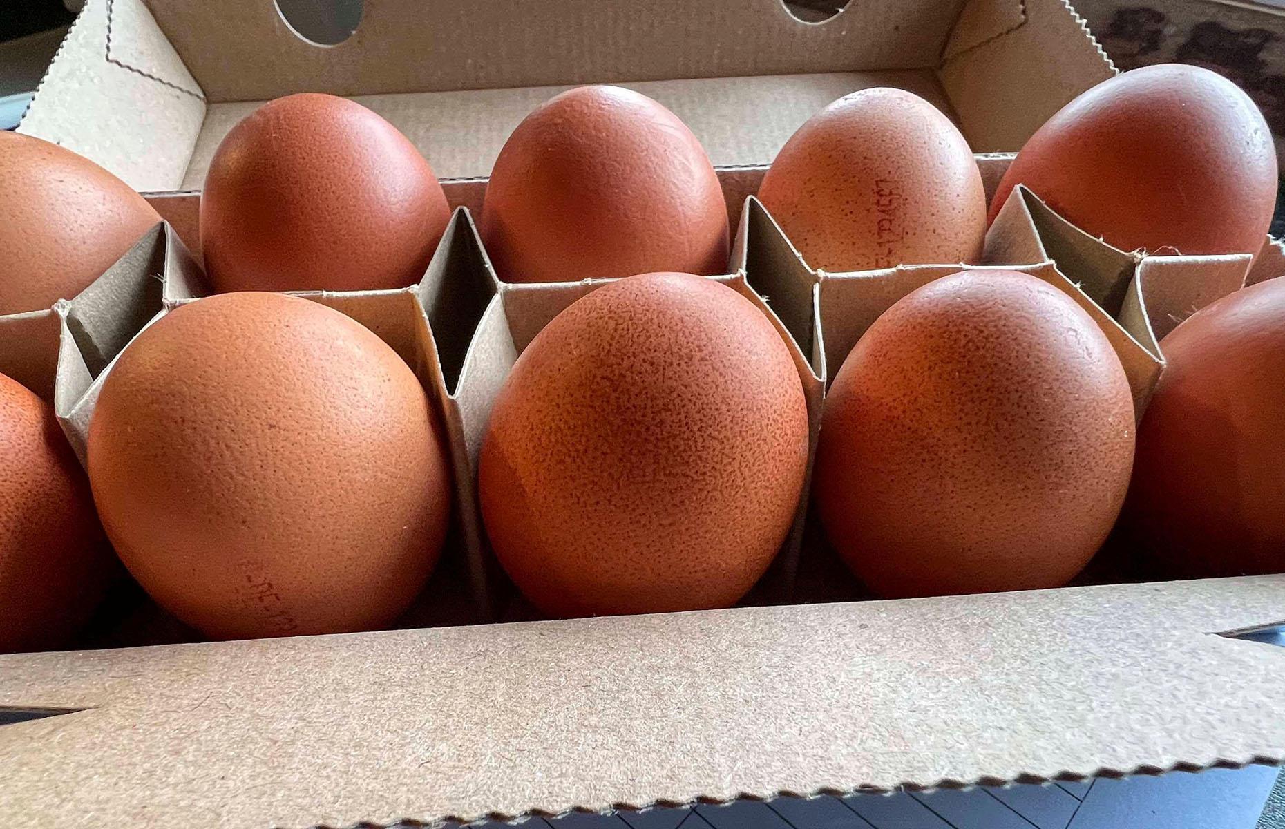 The cost of a dozen eggs across the globe today