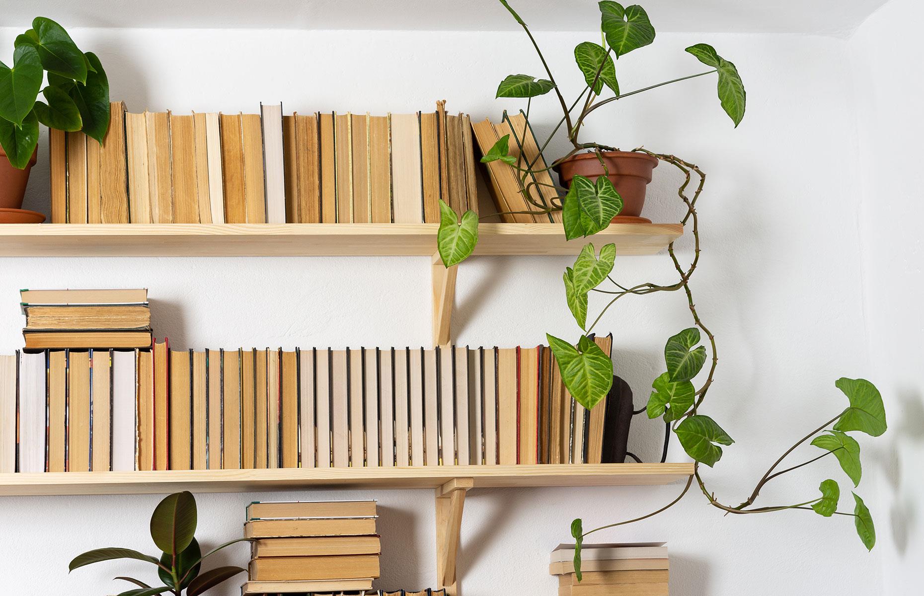 Try this: put up a shelf