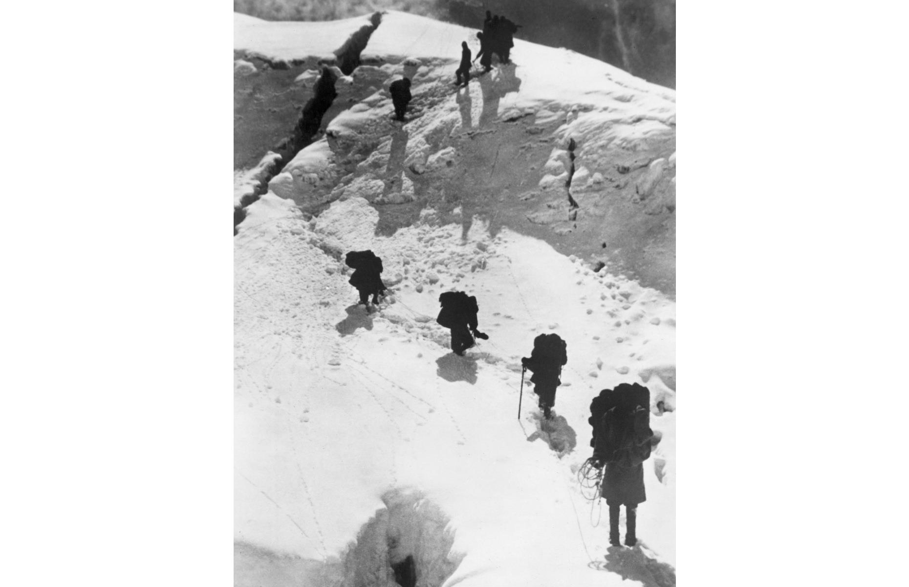 Three further expeditions