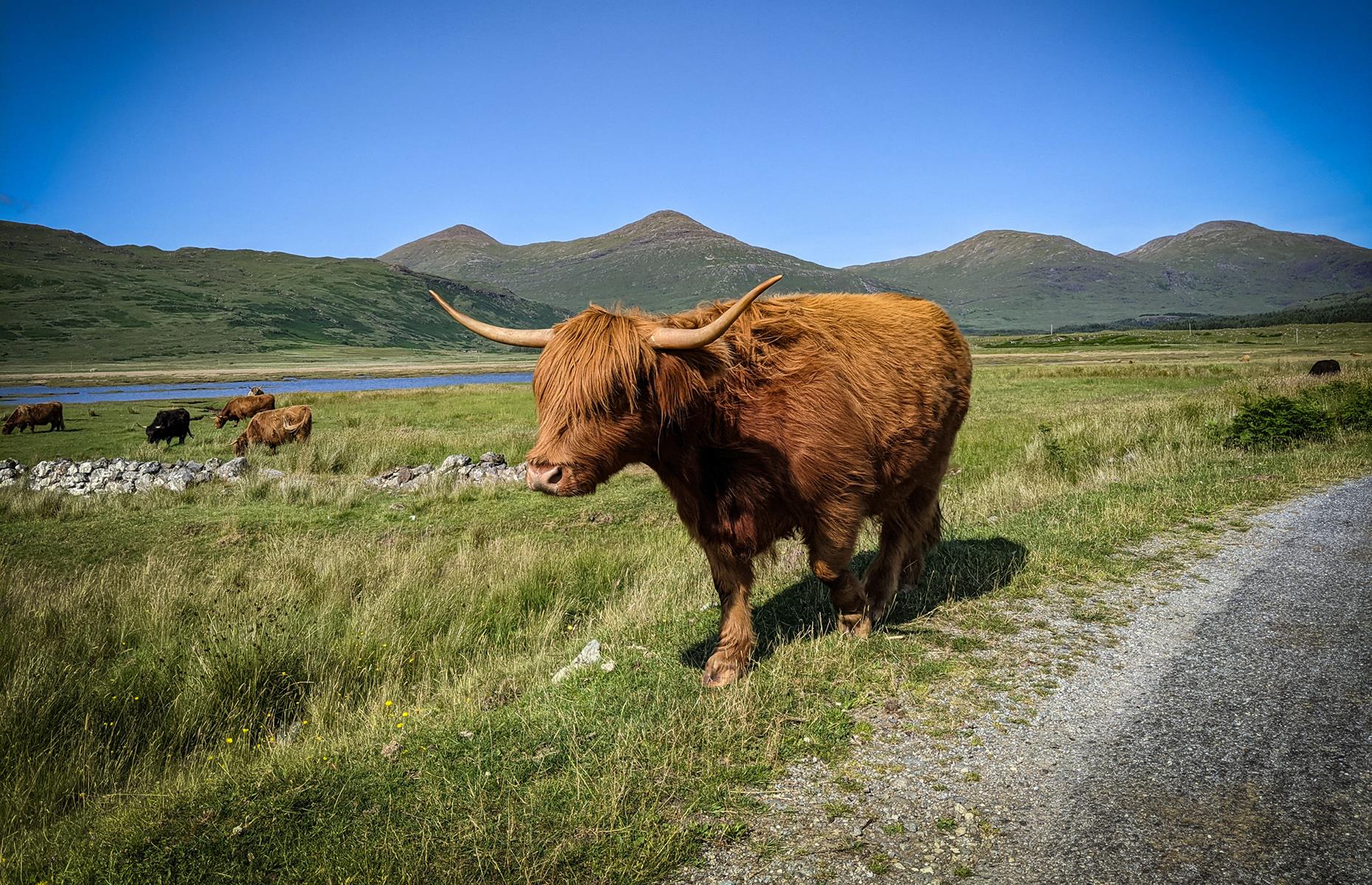 Isle of Mull, Inner Hebrides, Scotland