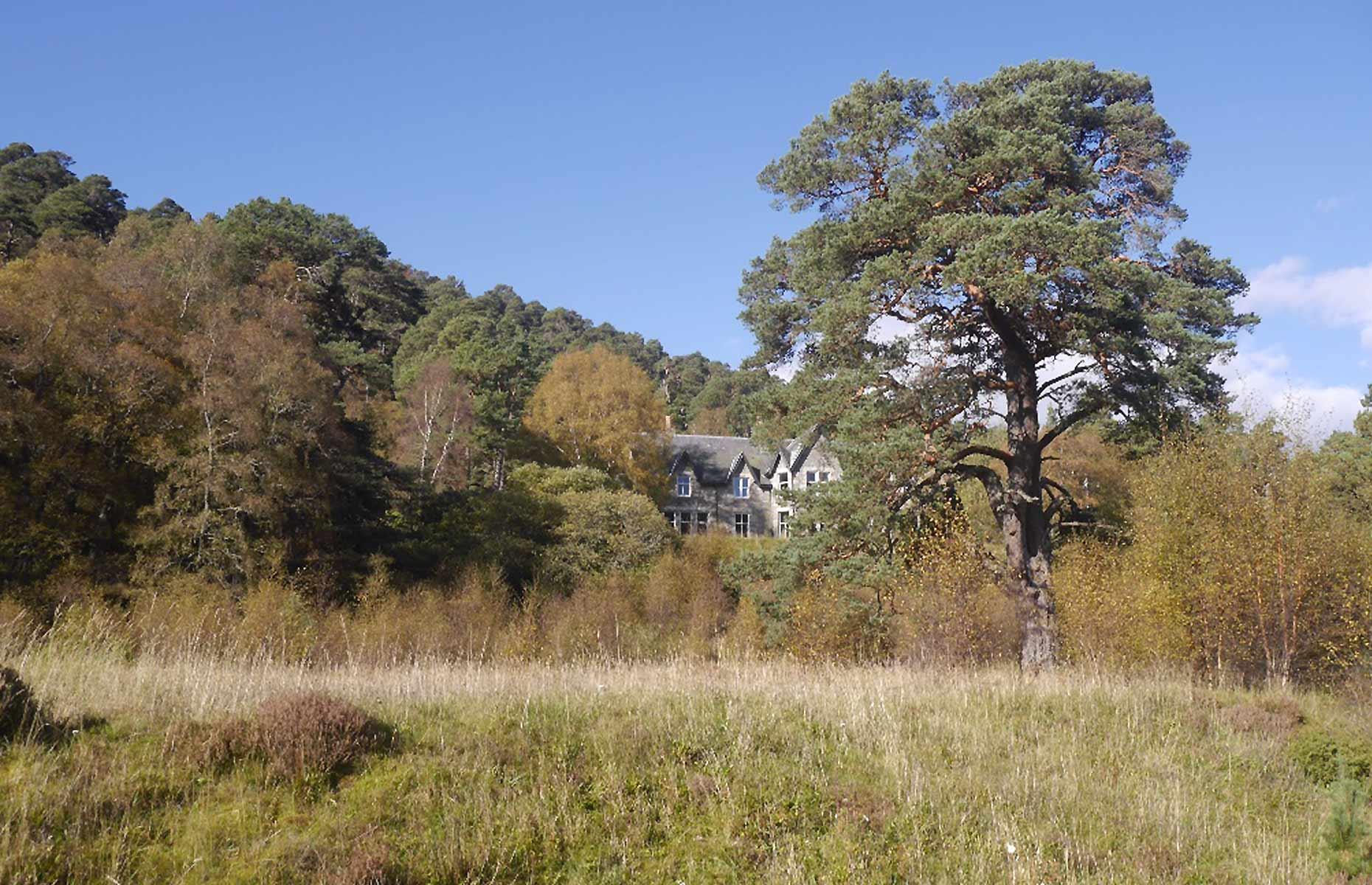 Anders Povlsen's rural estate: secluded country pile