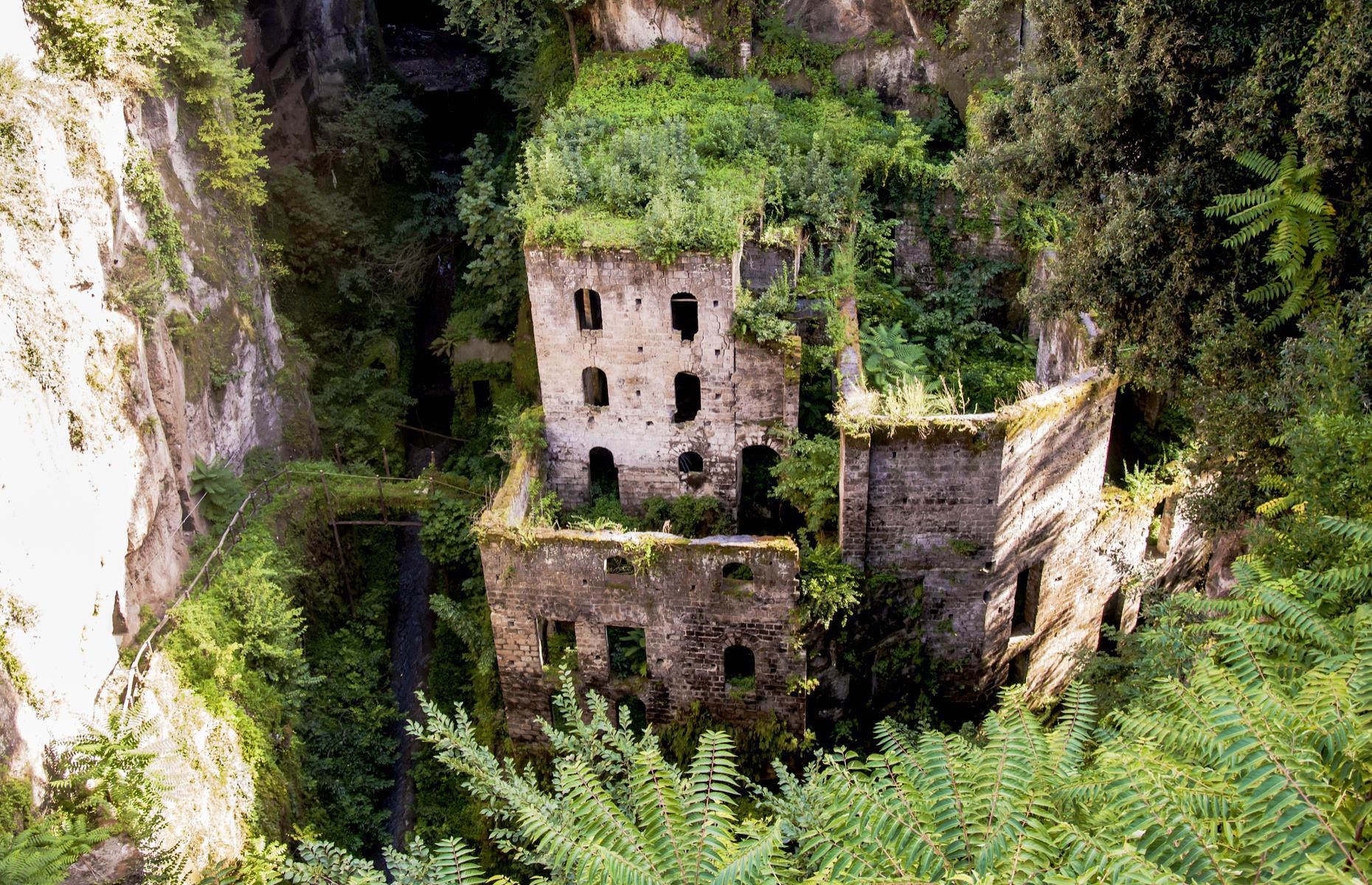 The places where nature rules
