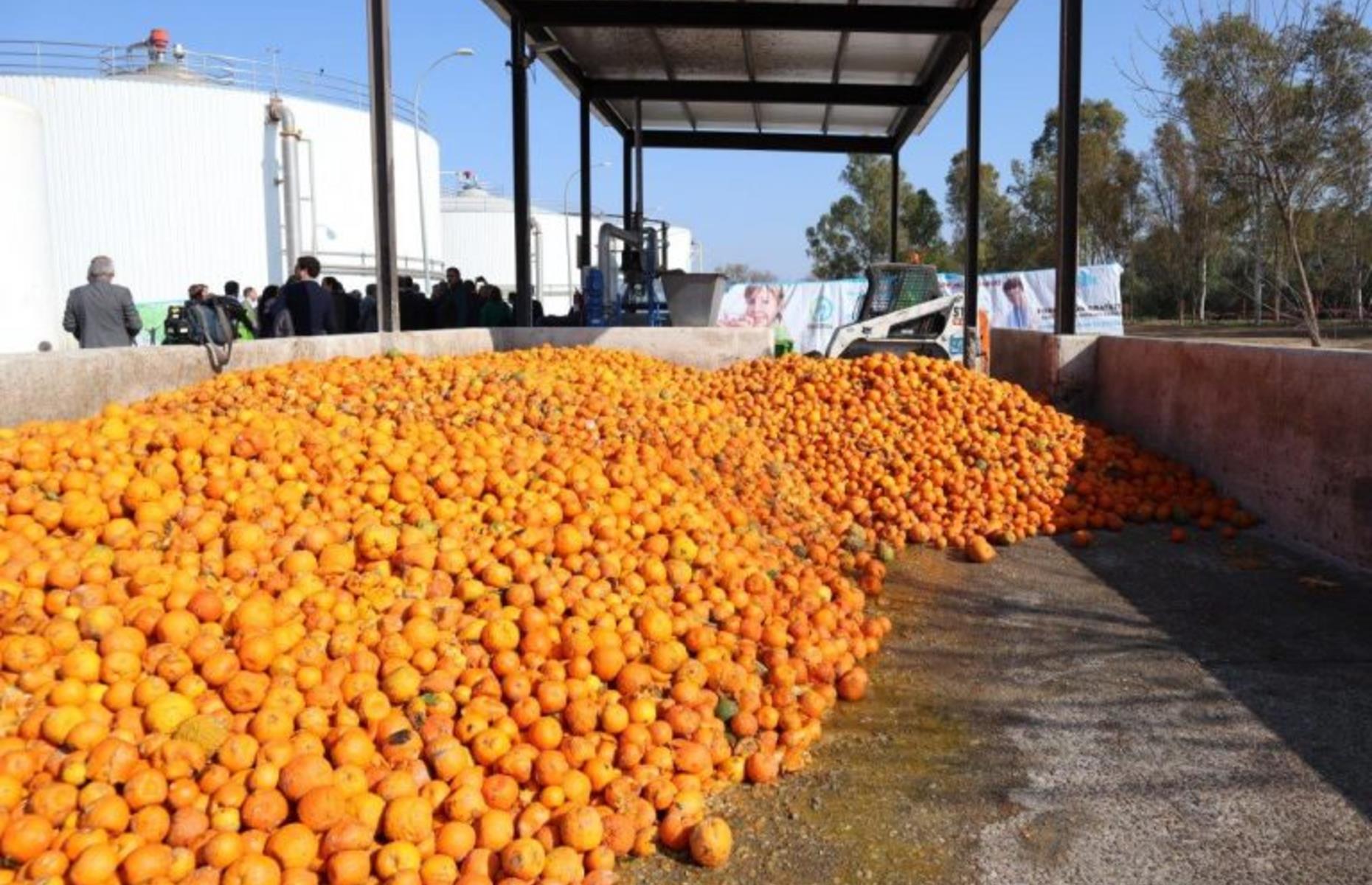 Electricity for 73,000 homes... from oranges