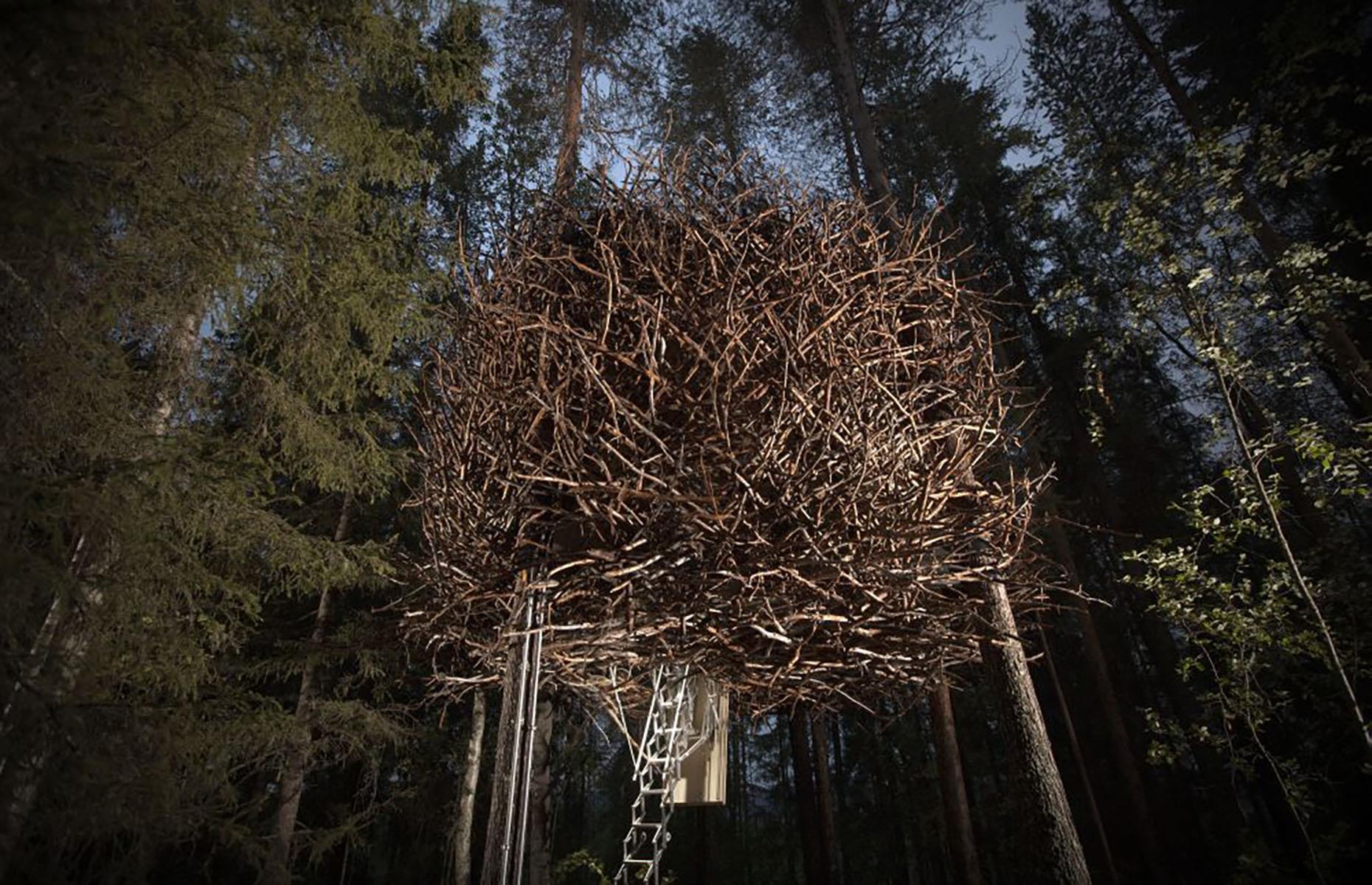 Nido de pájaro, Harads, Suecia