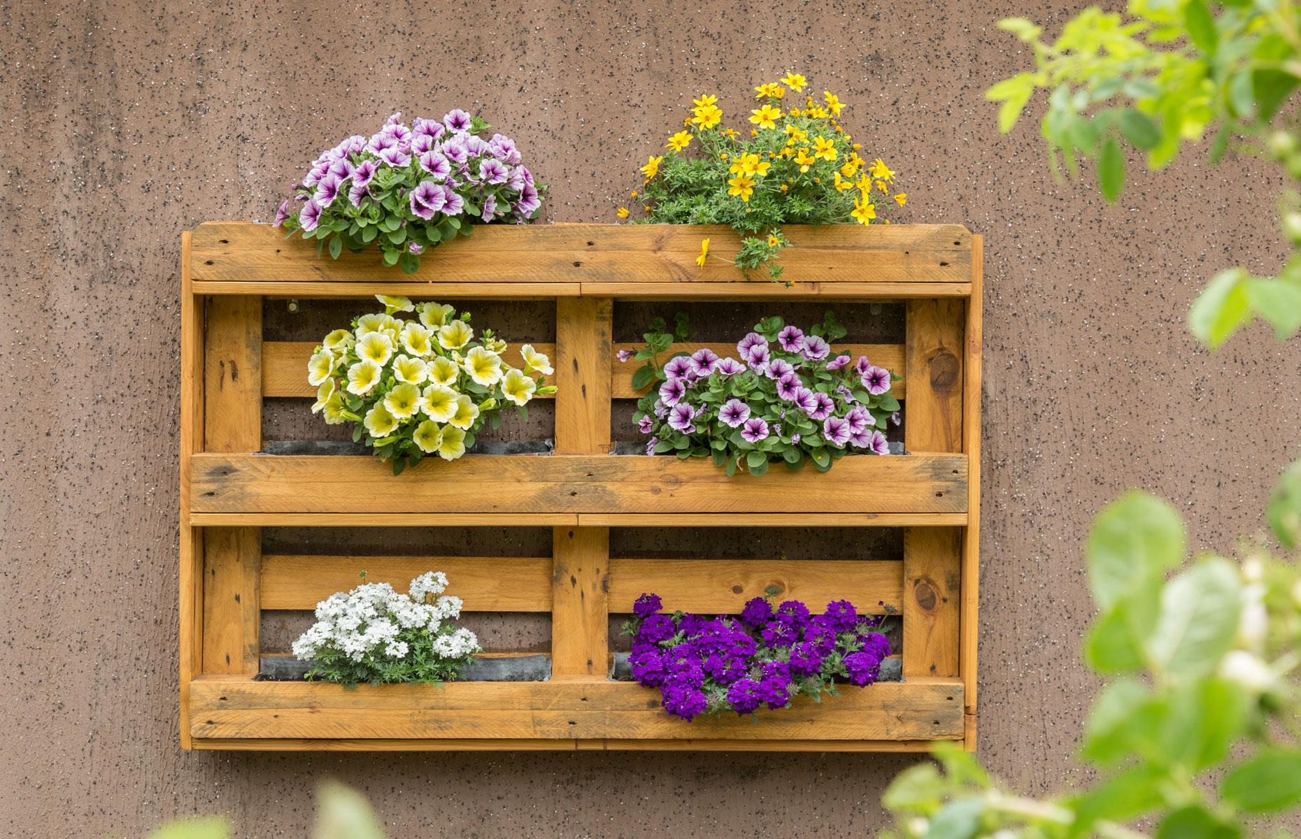 Brighten up a pallet planter