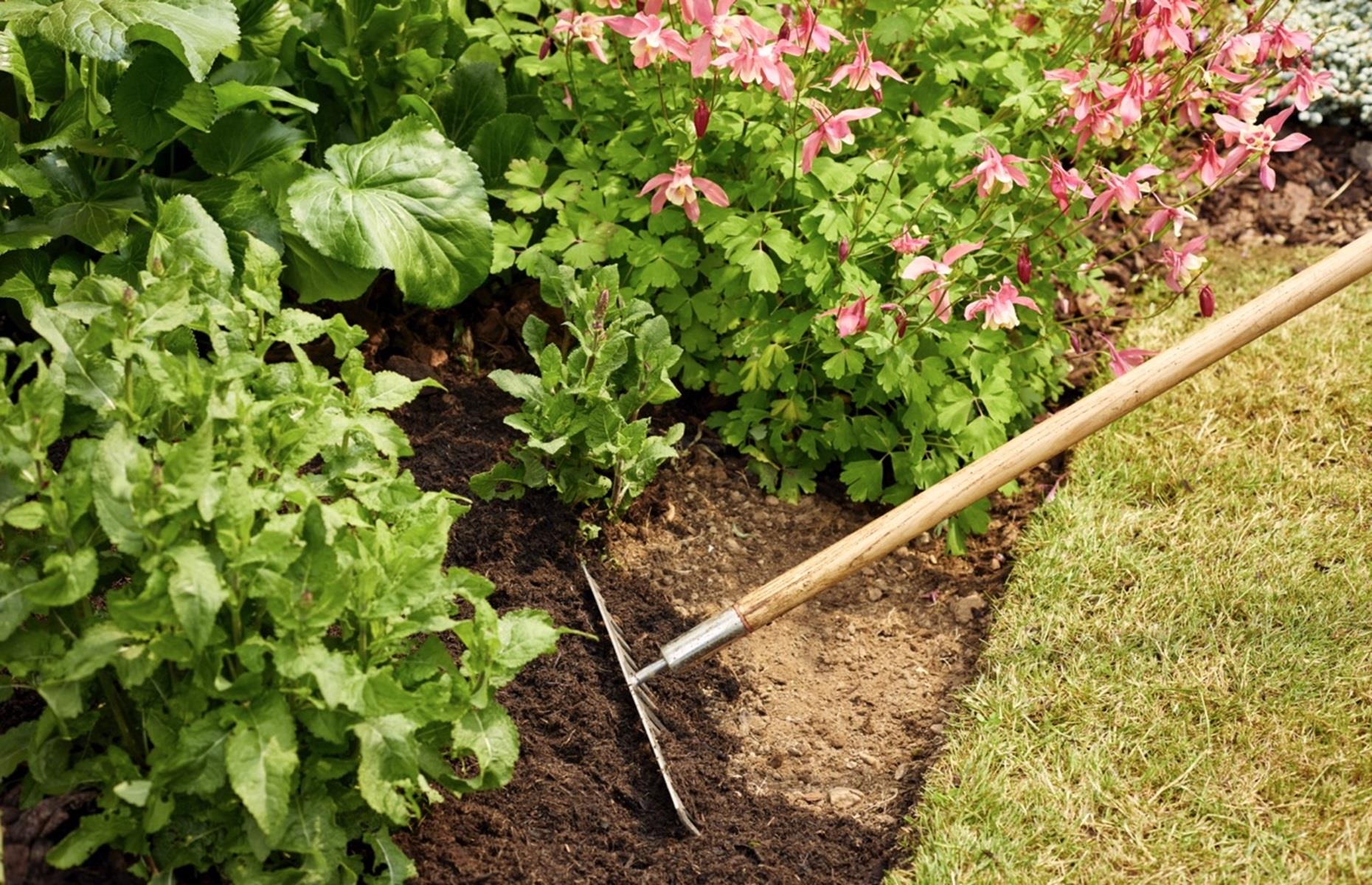 Not knowing your soil