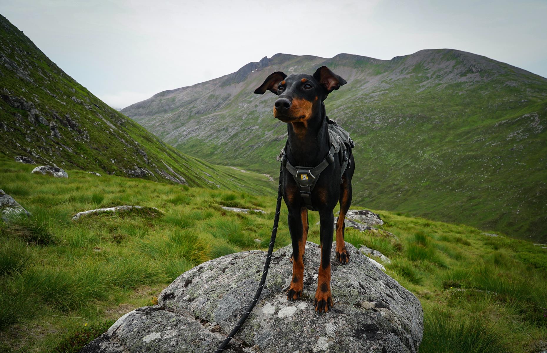 Glen Coe, the Highlands, Scotland