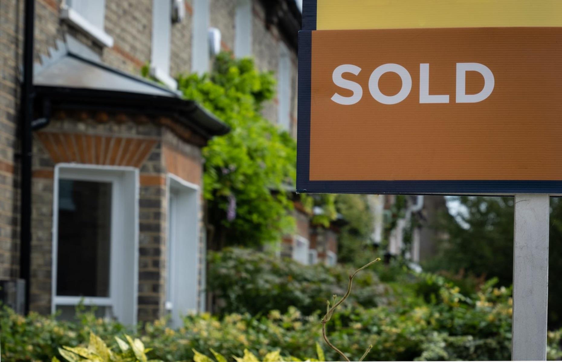 Can I sell a house with Japanese knotweed?