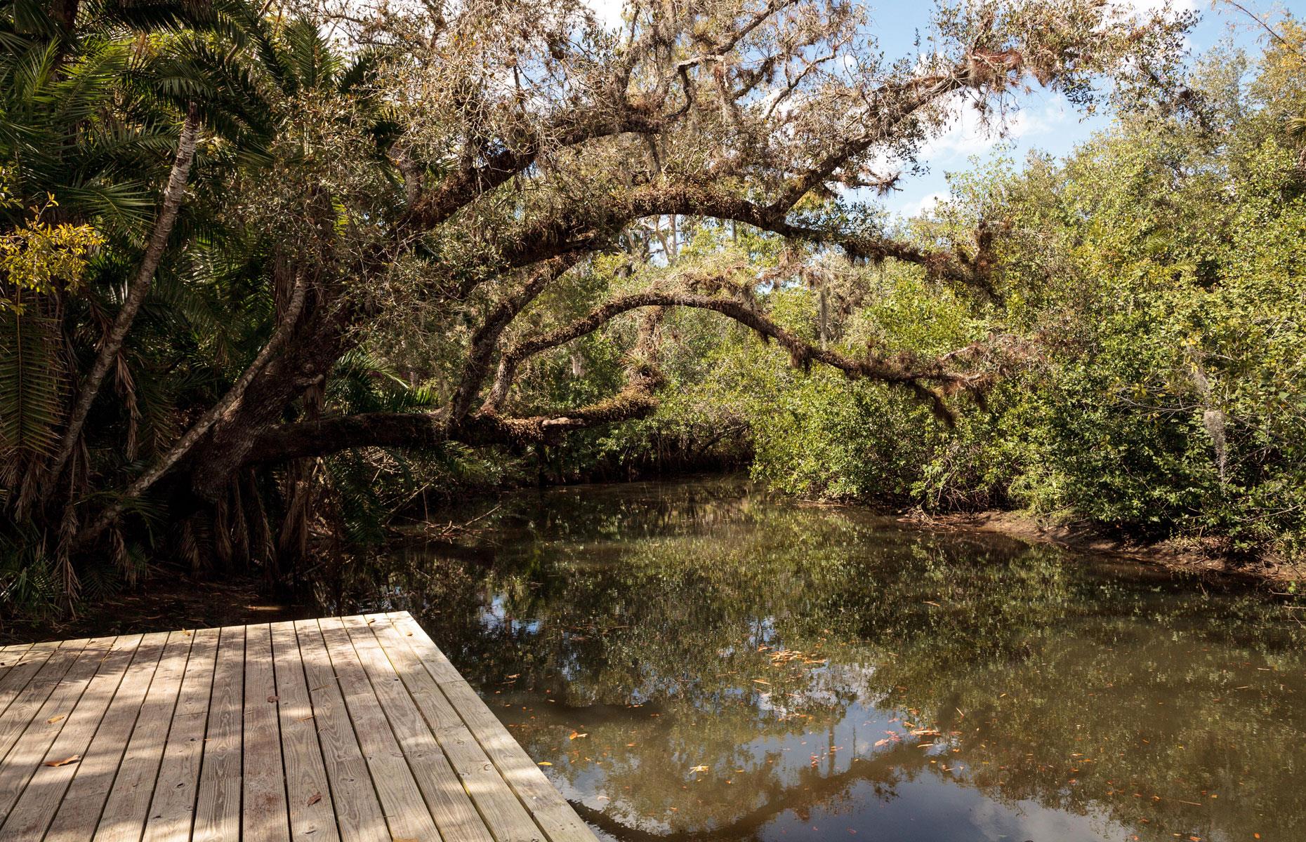 Embarcadero de bambú