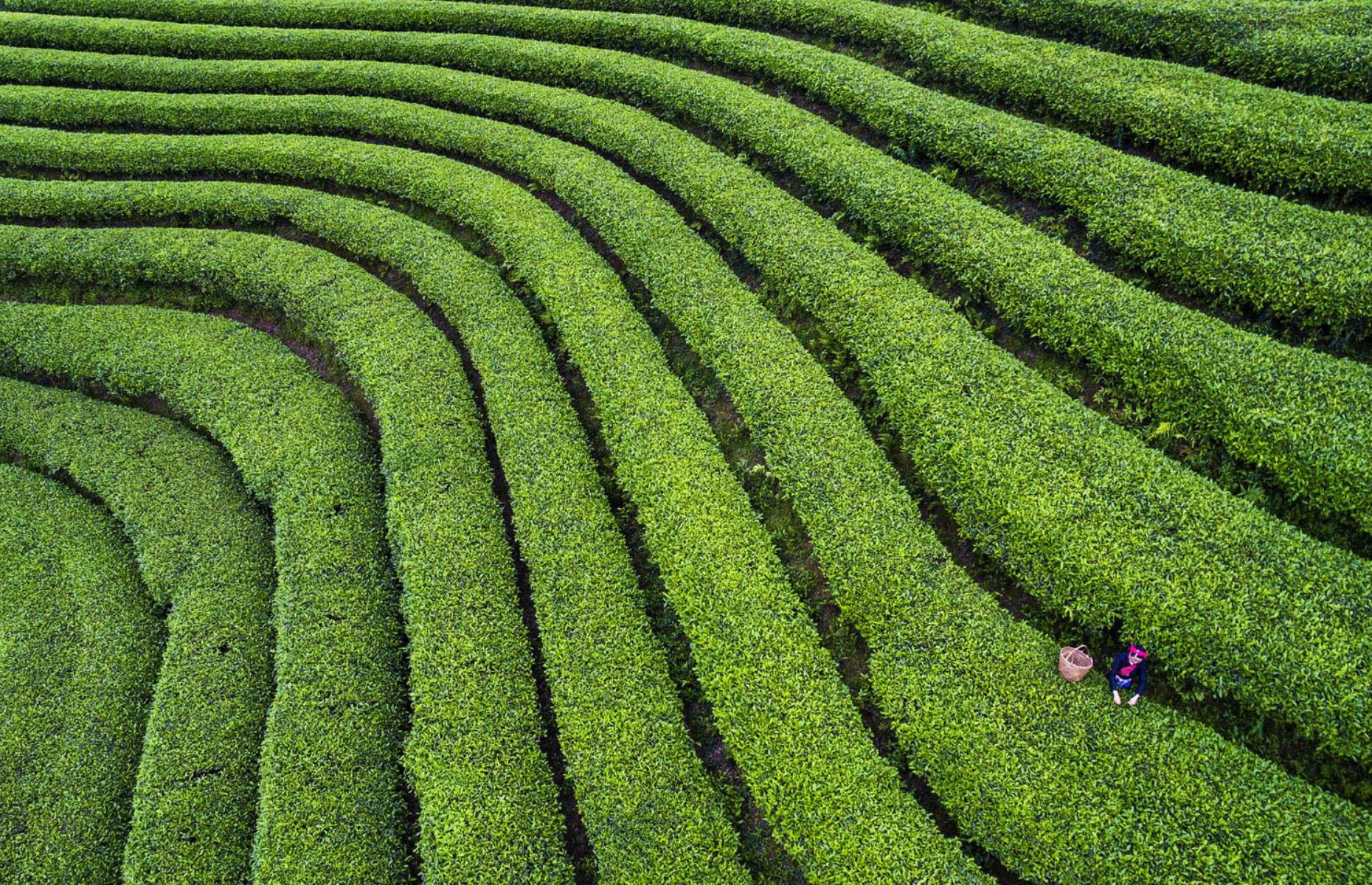 Xiapu, Fujian province, China
