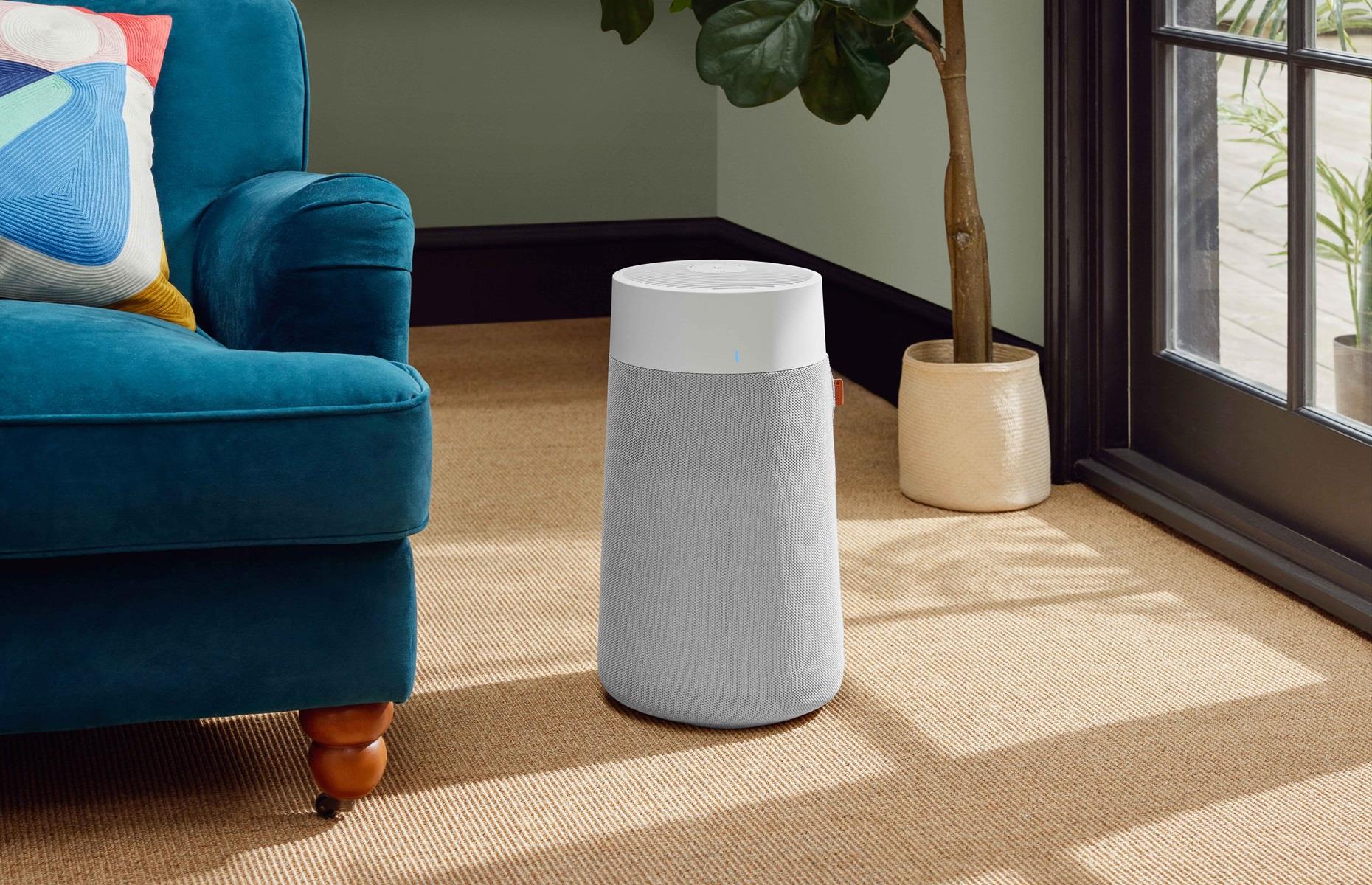 Invest in an air purifier