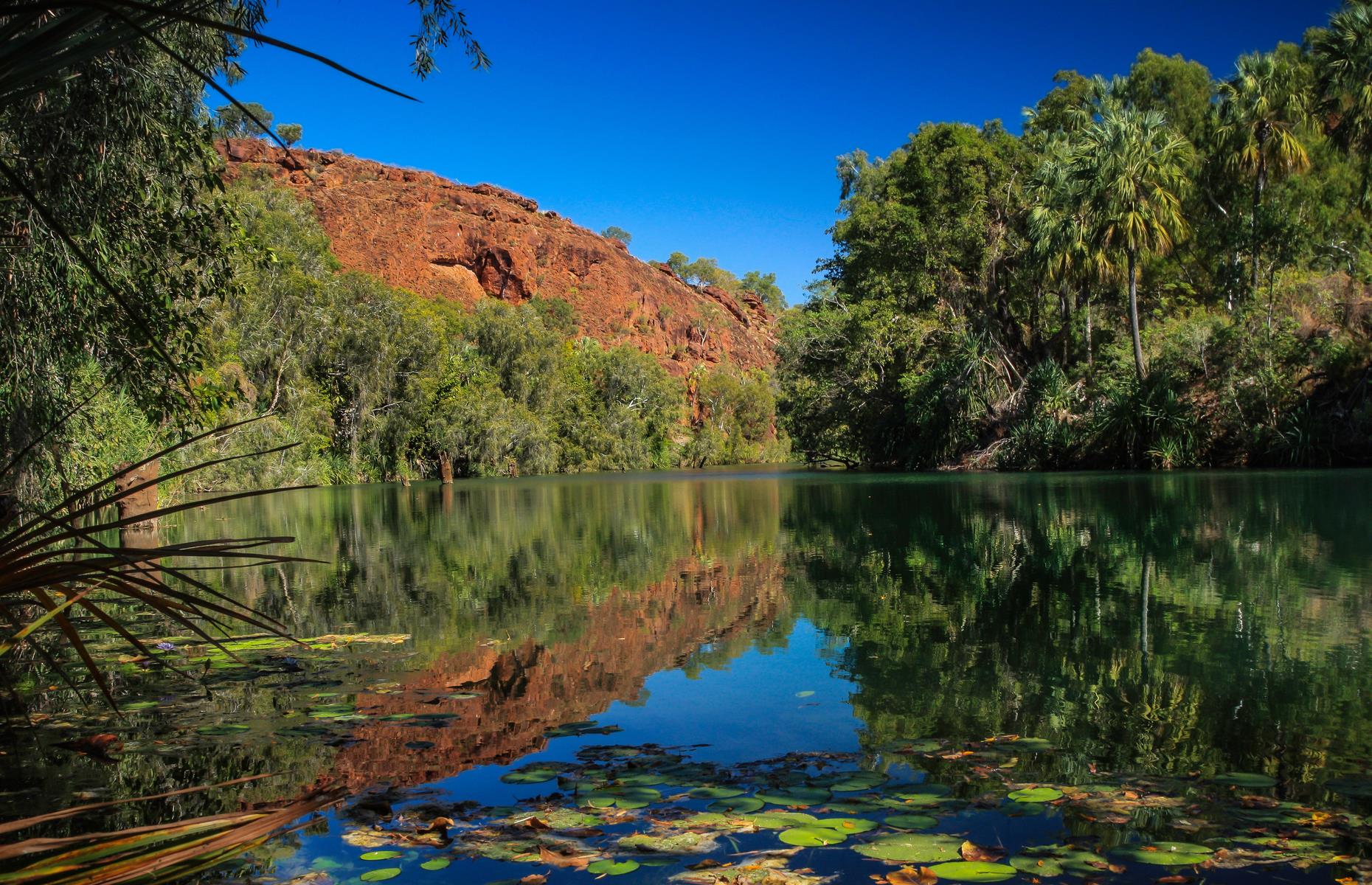Lawn Hill Gorge, Boodjamulla (Lawn Hill) National Park
