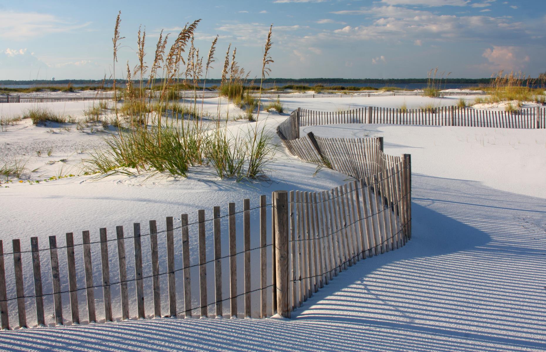 Florida Trail