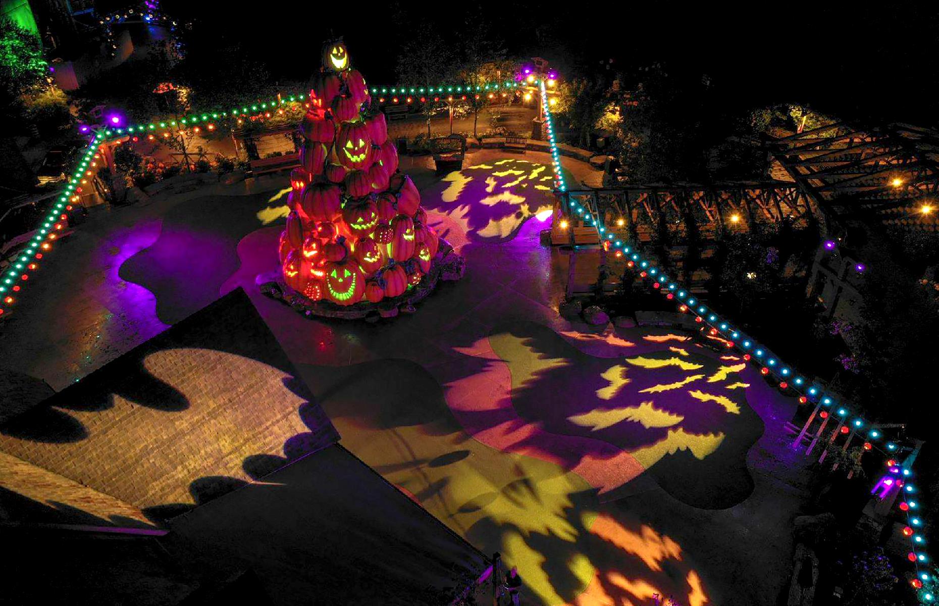 Tennessee: Dollywood, Pigeon Forge