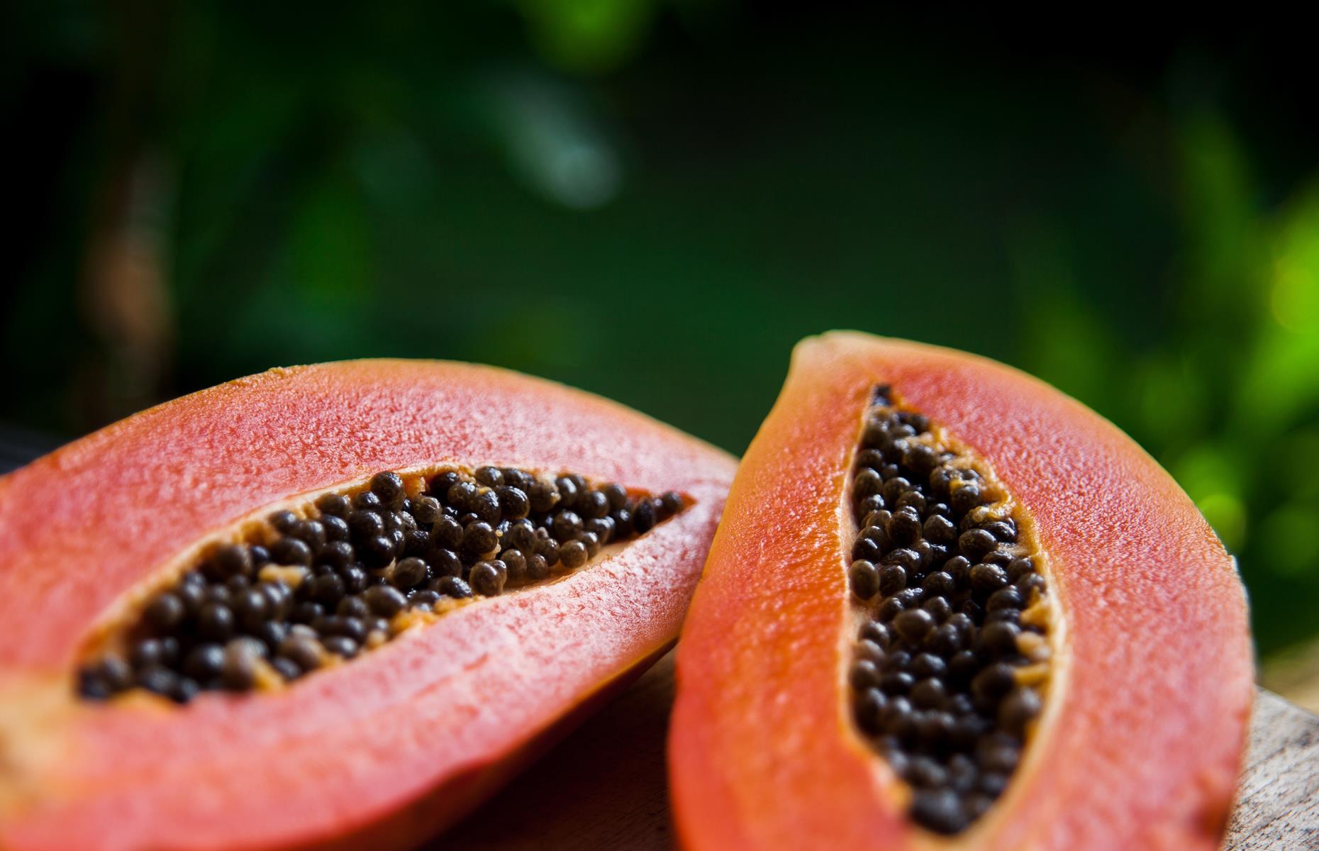 Papaya