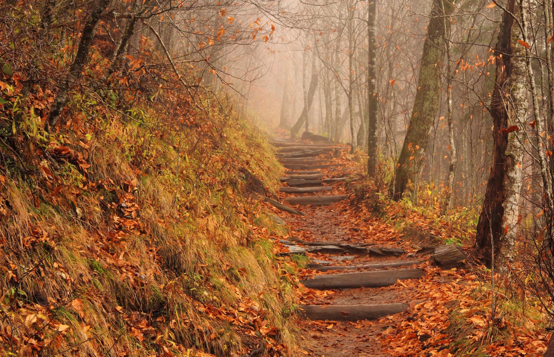 Appalachian Trail