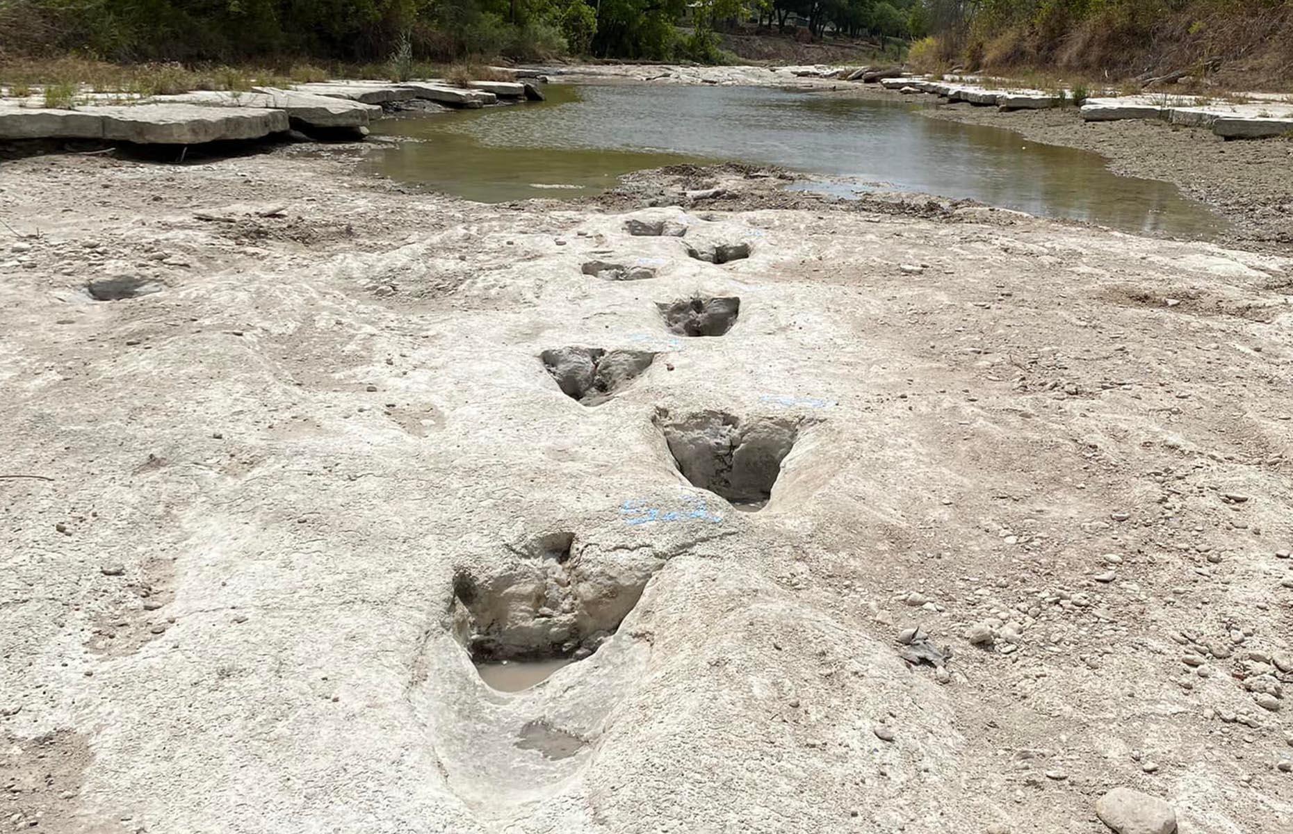 Dinosaur footprints were found after drought in Texas
