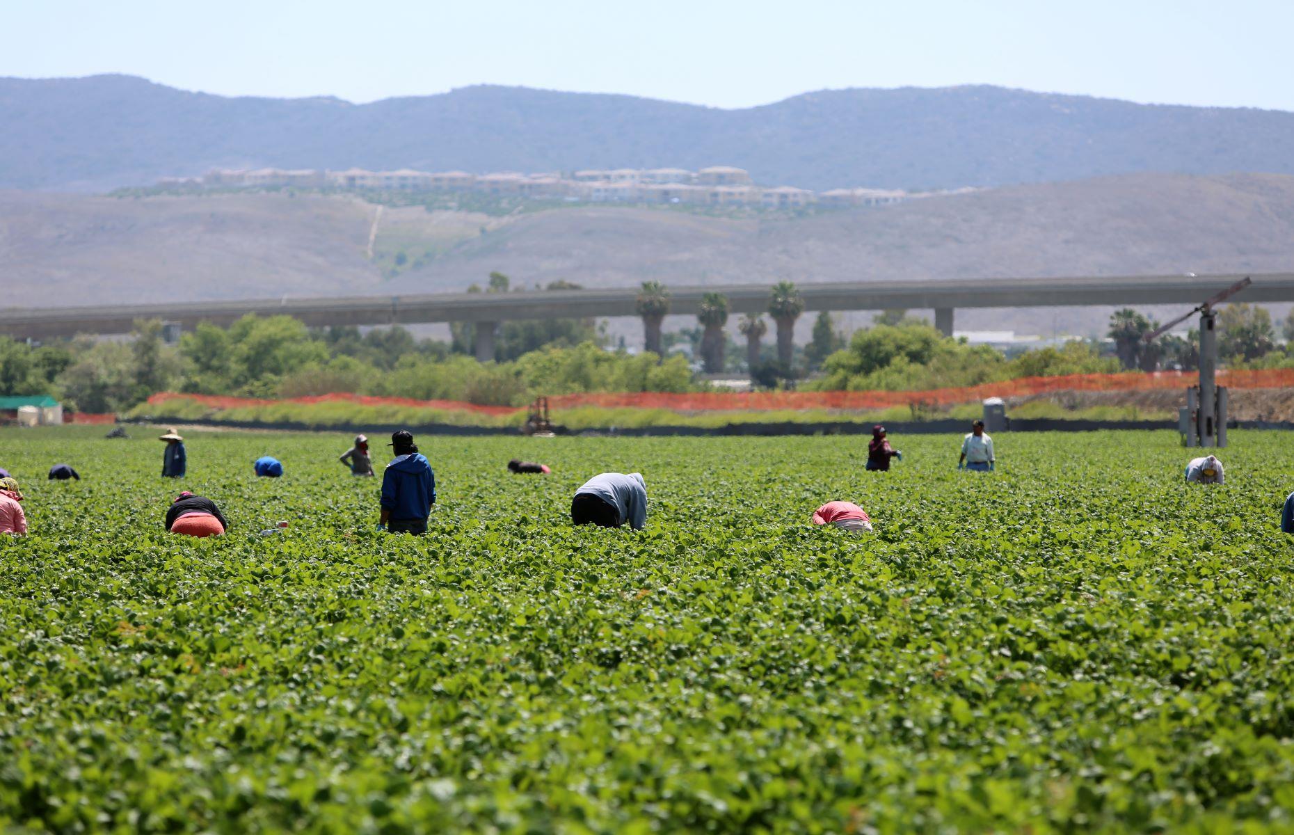 2nd: California – 85.11