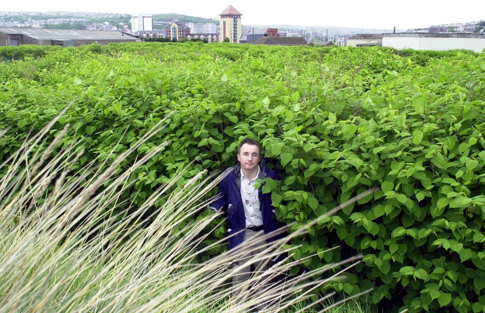 3. Swansea (3.58 incidences per sq km)
