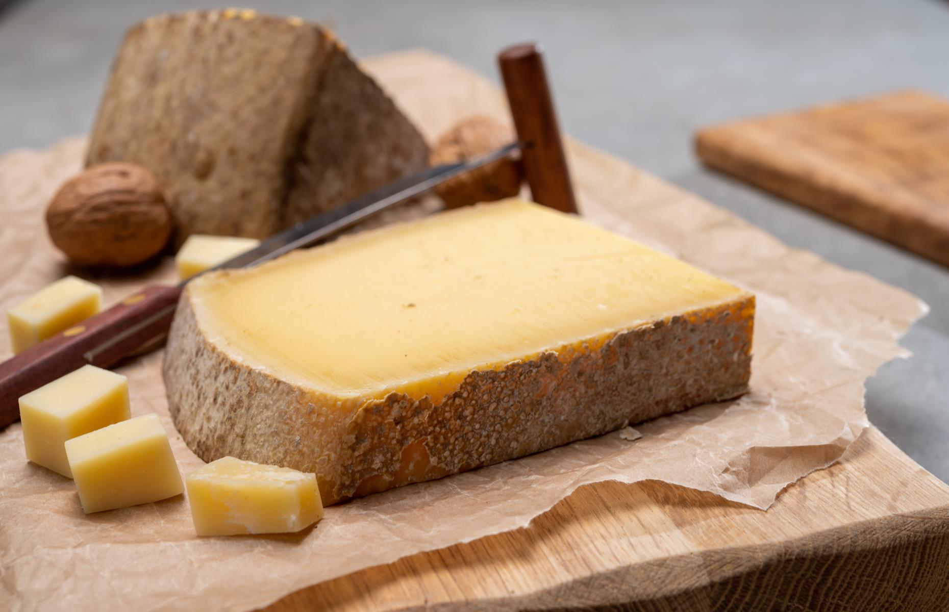 The cheese family: semi-hard cheeses