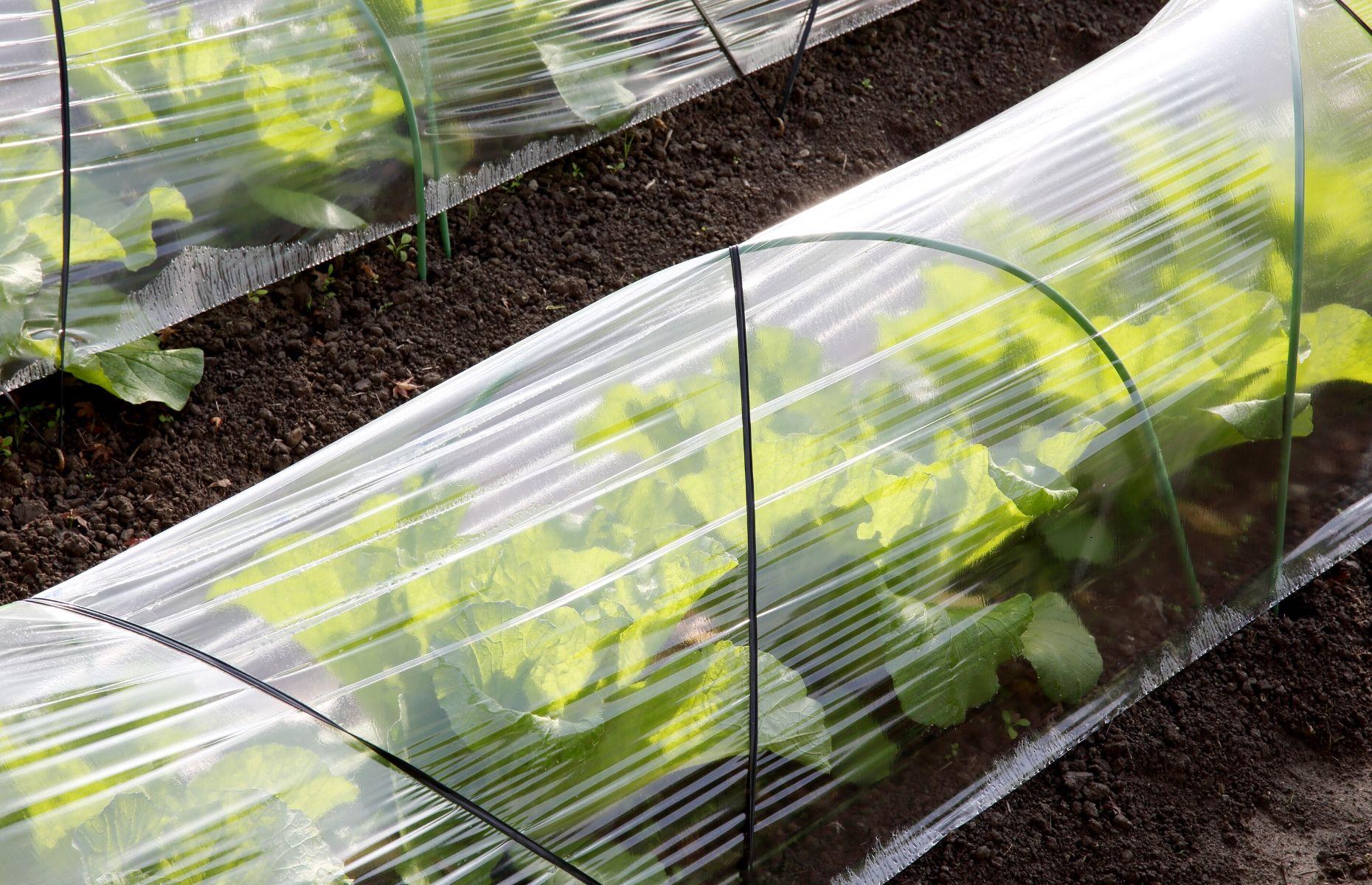 Protect and nurture your produce