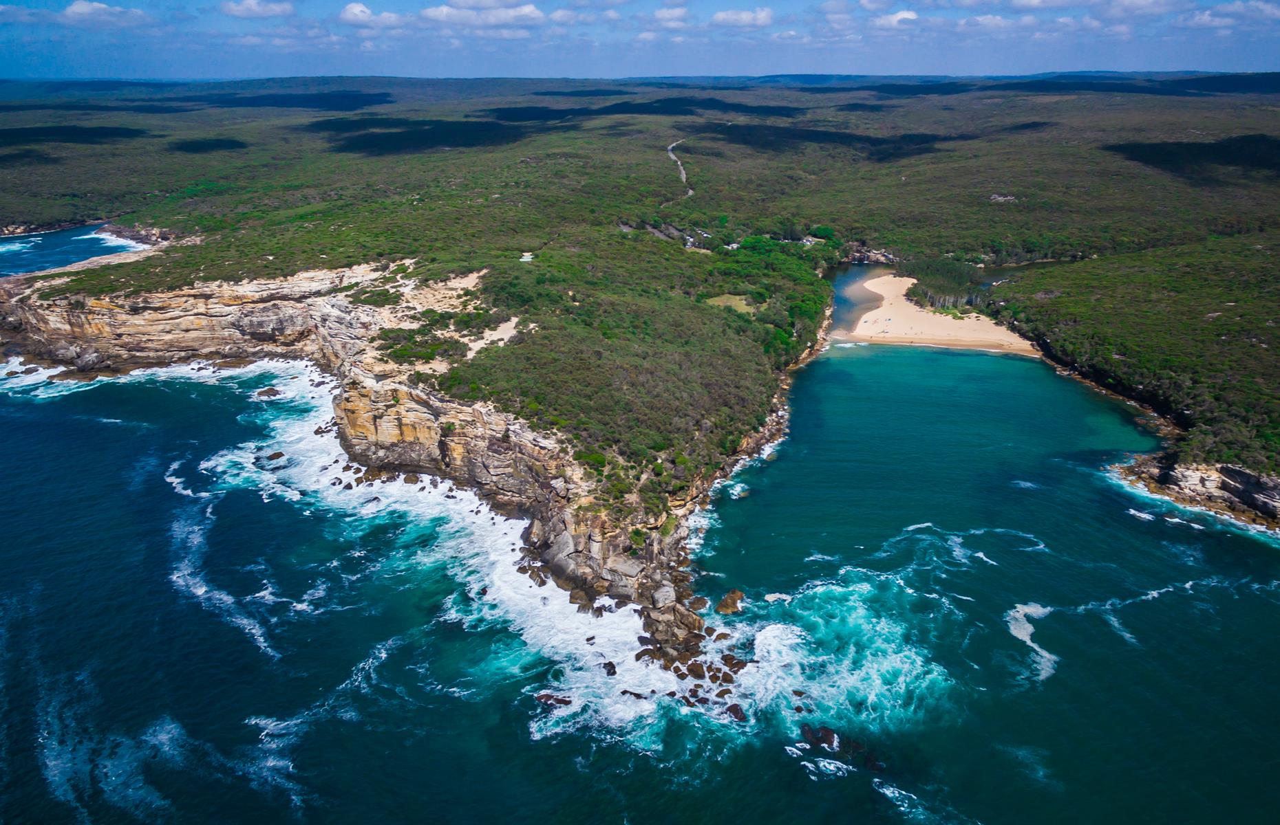 New south. Королевский национальный парк (Royal National Park). Австралия Ройял парк. Национальный парк Сиднея. Royal National Park Australia побережье.