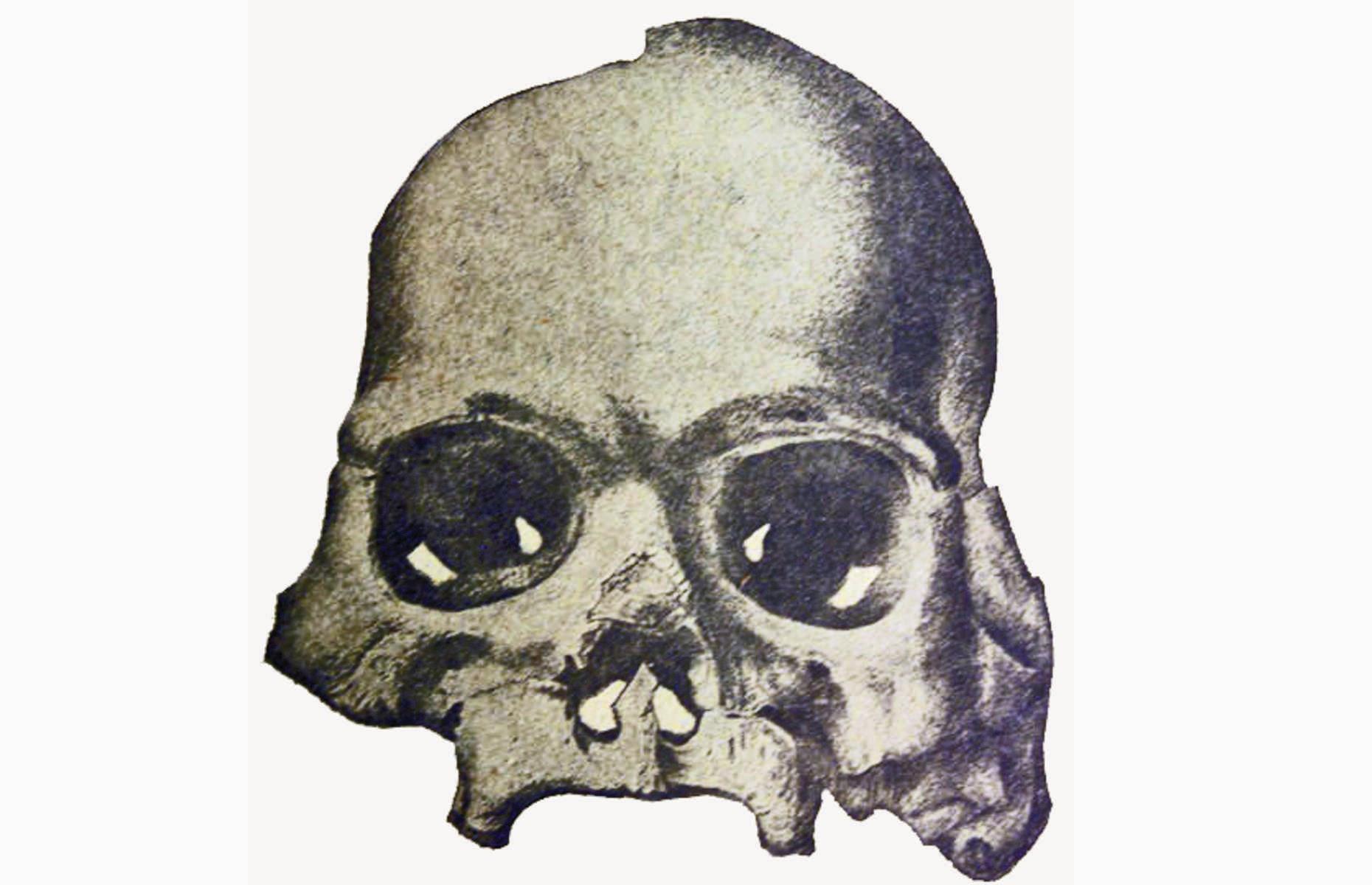 Calaveras Skull, California, USA