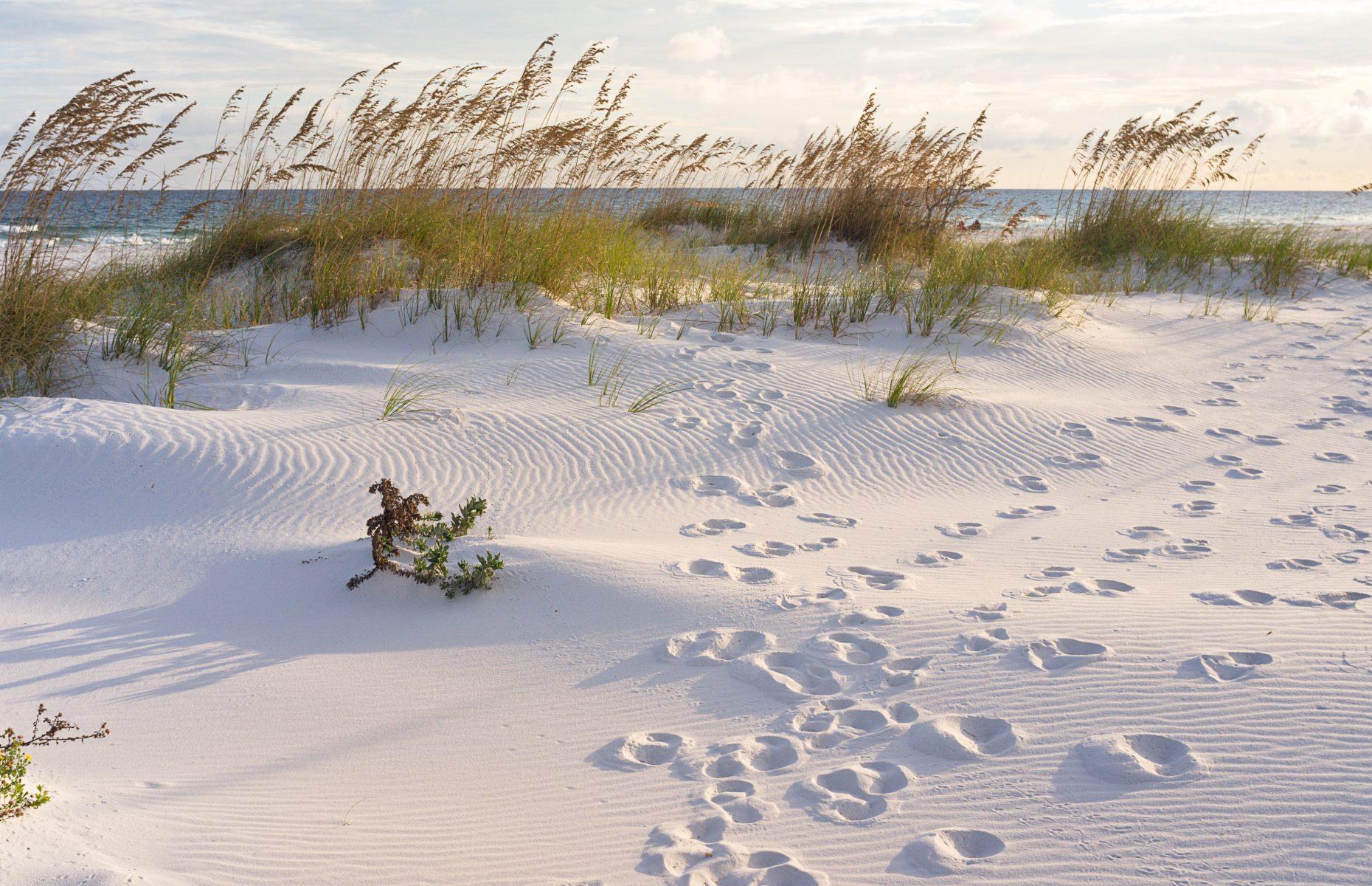 11. Pensacola Beach, Florida 