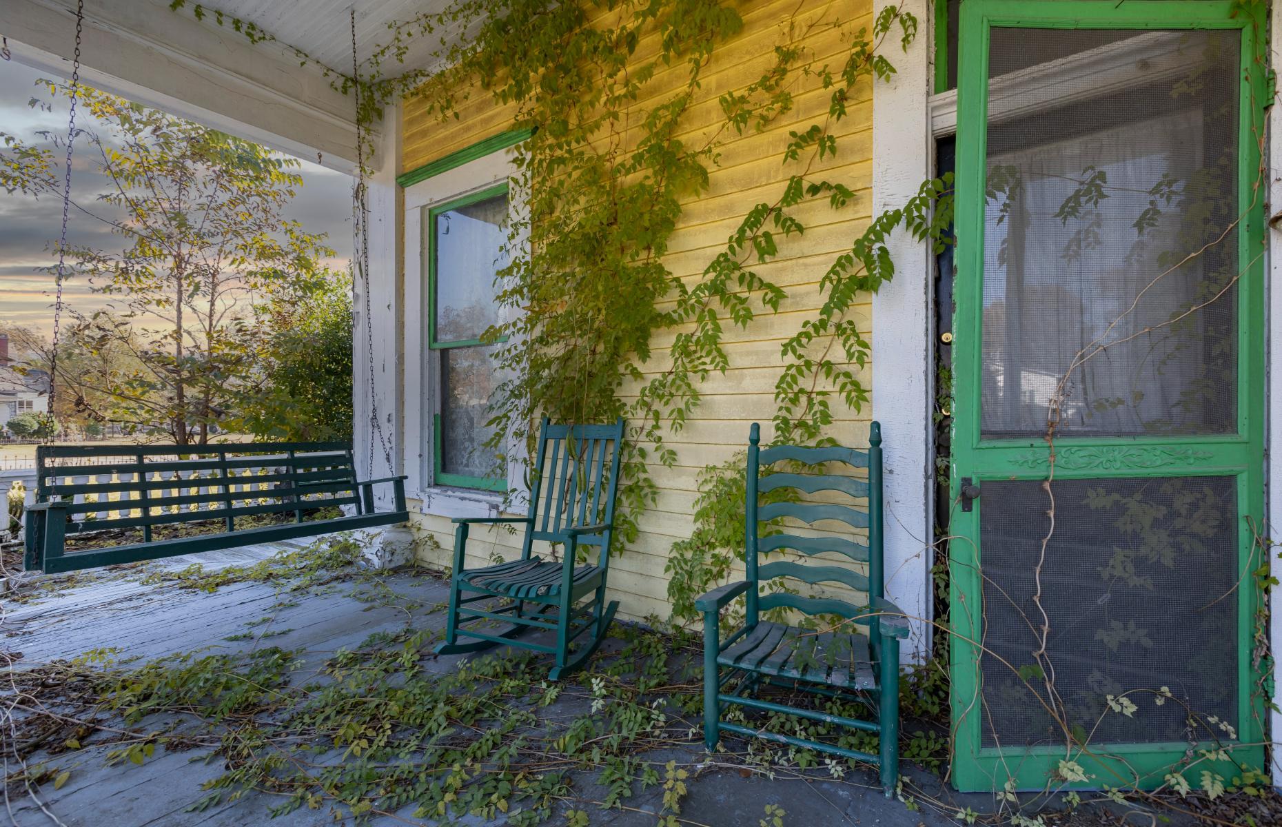Swallowed by vines
