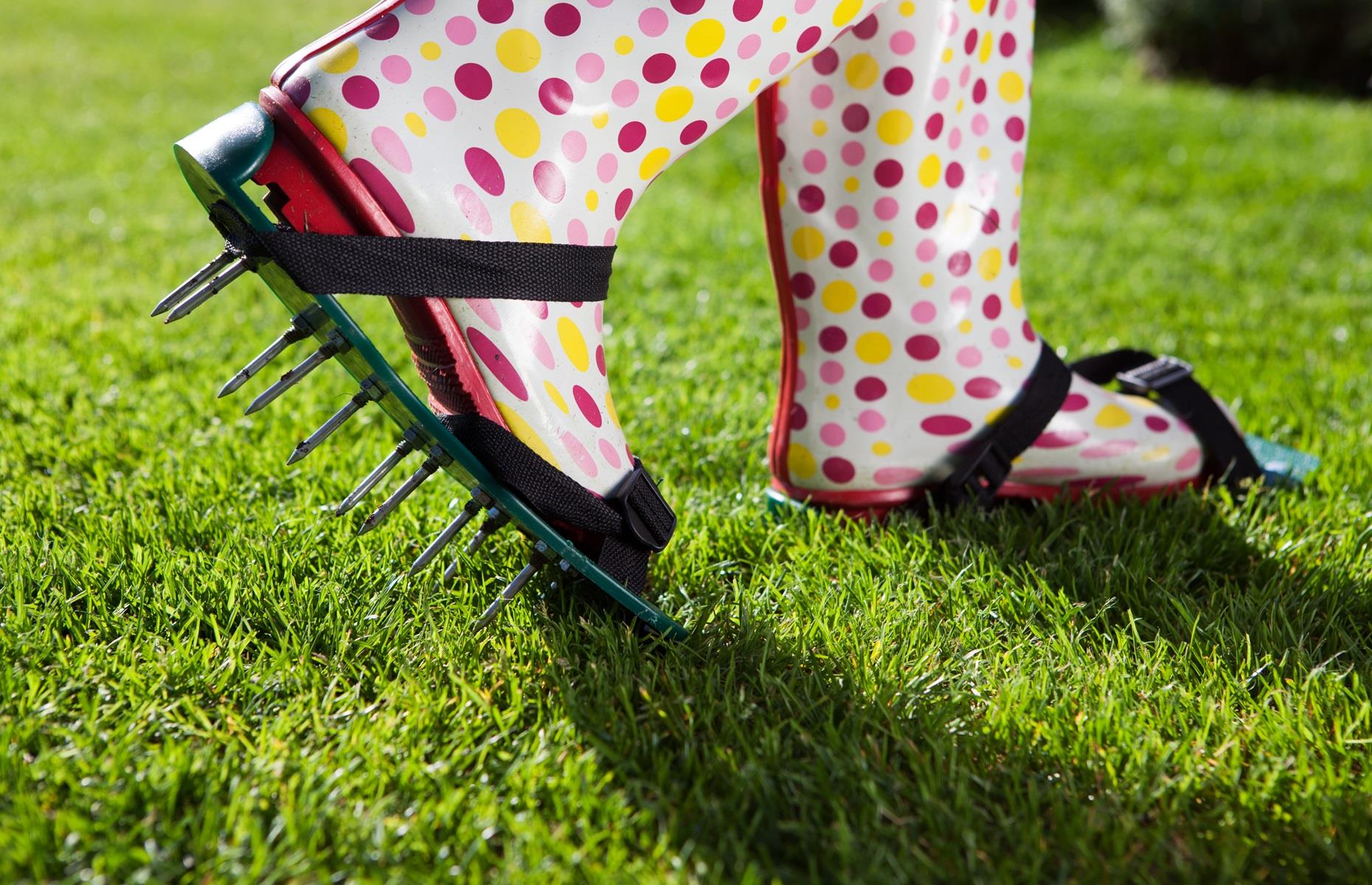 Reduce lawn labour