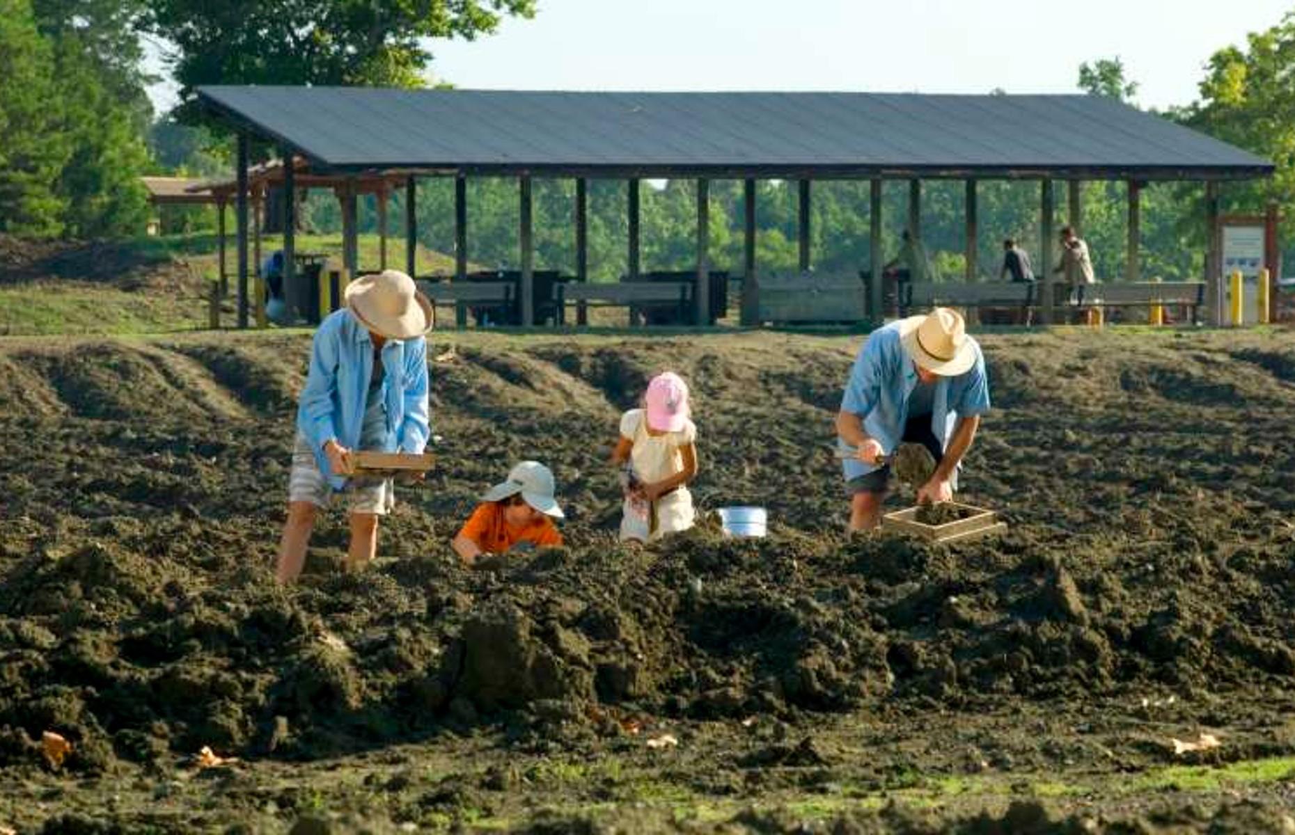 The hobby: digging for diamonds 